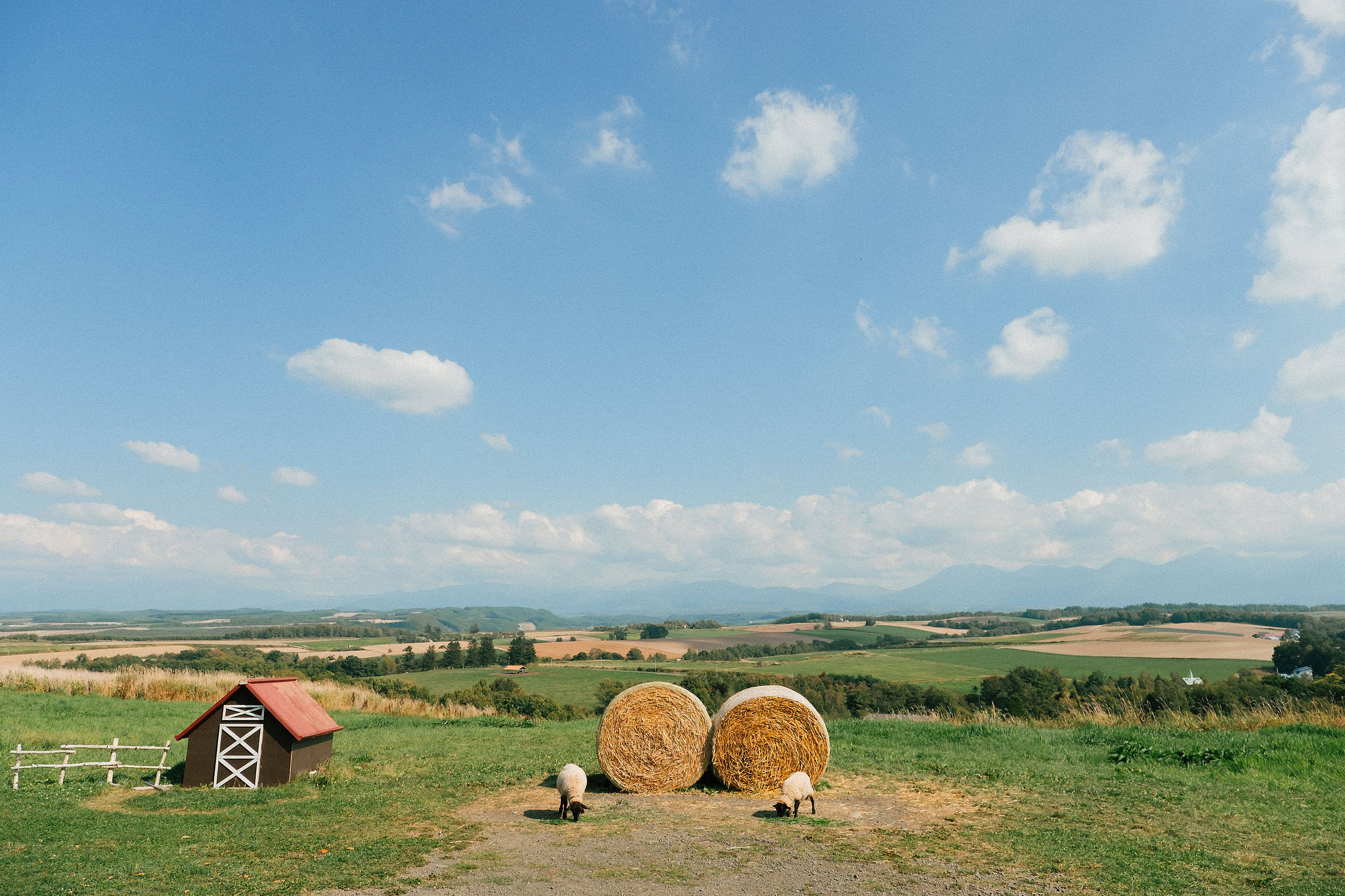 Furano, Hokkaido Pre-Wedding Photoshoot | Farm Chiyoda, Shikisai-no-oka & Ningle Terrace at Farm Chiyoda pre-wedding photo