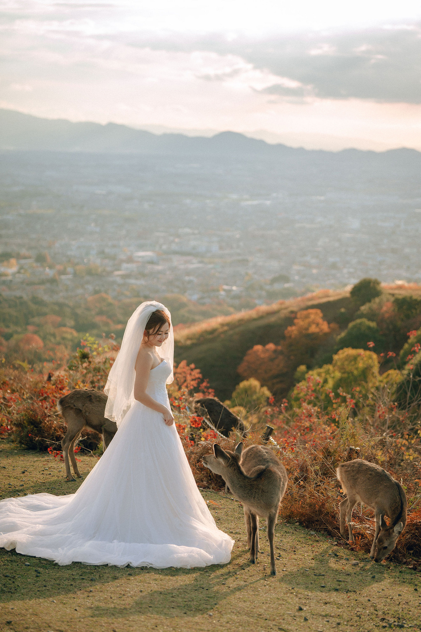 Kyoto Pre-Wedding Photoshoot | Arashiyama River, Arashiyama Temple & Mt. Wakakusa at Mt. Wakakusa pre-wedding photo