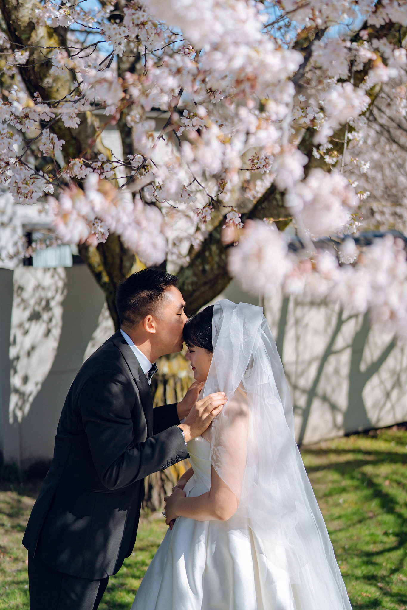 New Zealand Pre-Wedding Photoshoot | Lake Tekapo, Mount Cook, Tasman Glacier & Lake Wakatipu at Spring Blossom Path pre-wedding photo