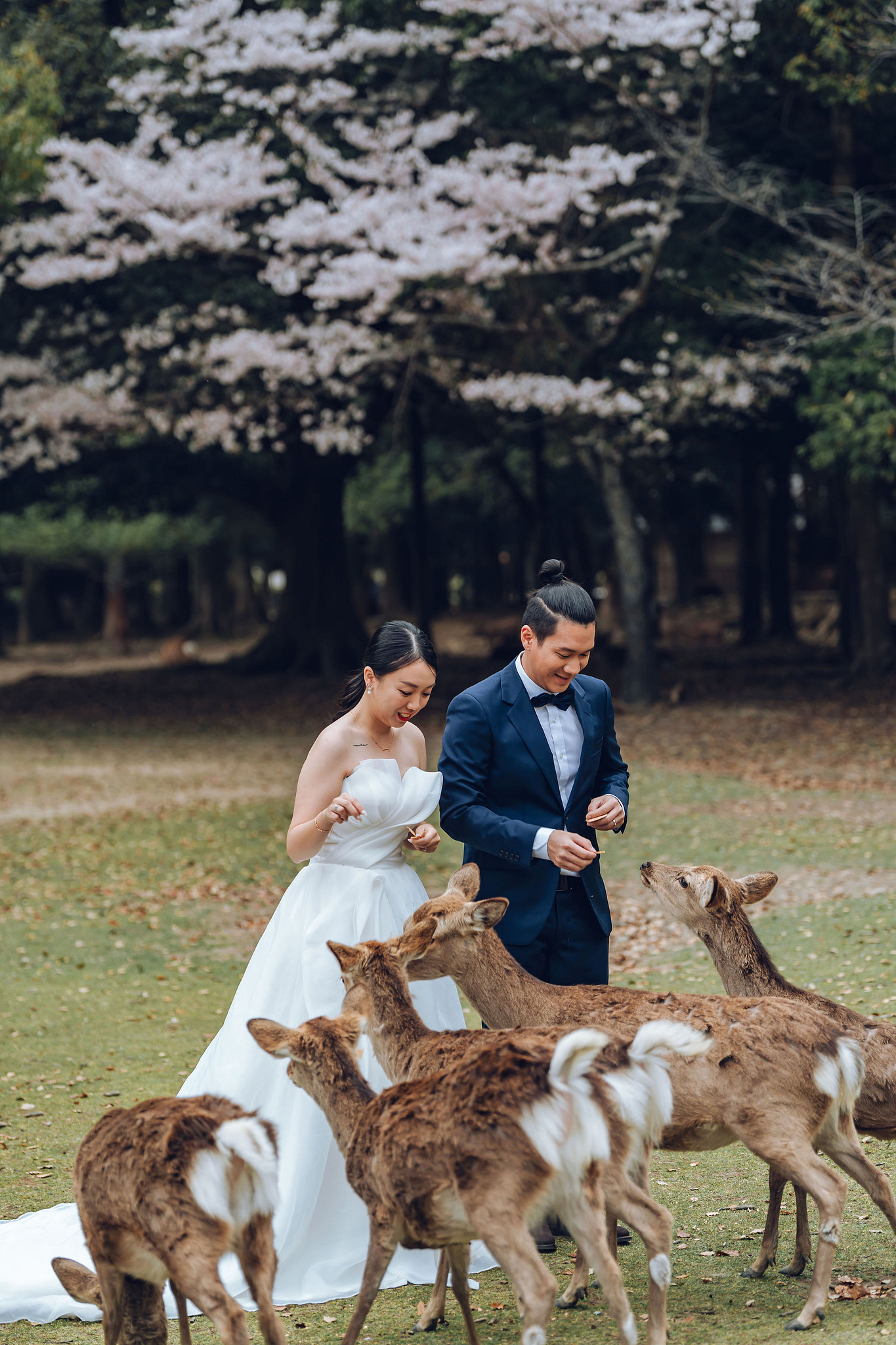 Kyoto Pre-Wedding Photoshoot | Historic Higashiyama Streets, Keage Incline & Nara Park at Nara Park pre-wedding photo