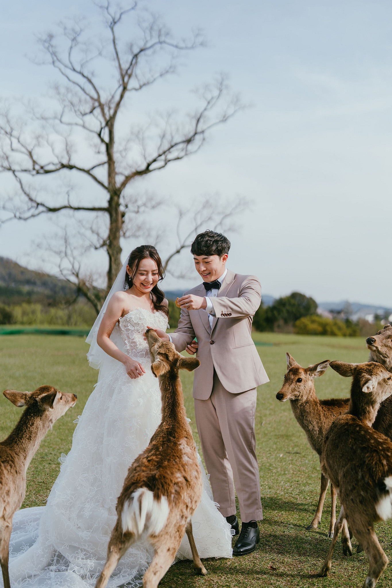 Kyoto Pre-Wedding Photoshoot | Fushimi Inari, Nara Deer Park & Mt. Wakakusa at Mt. Wakakusa pre-wedding photo