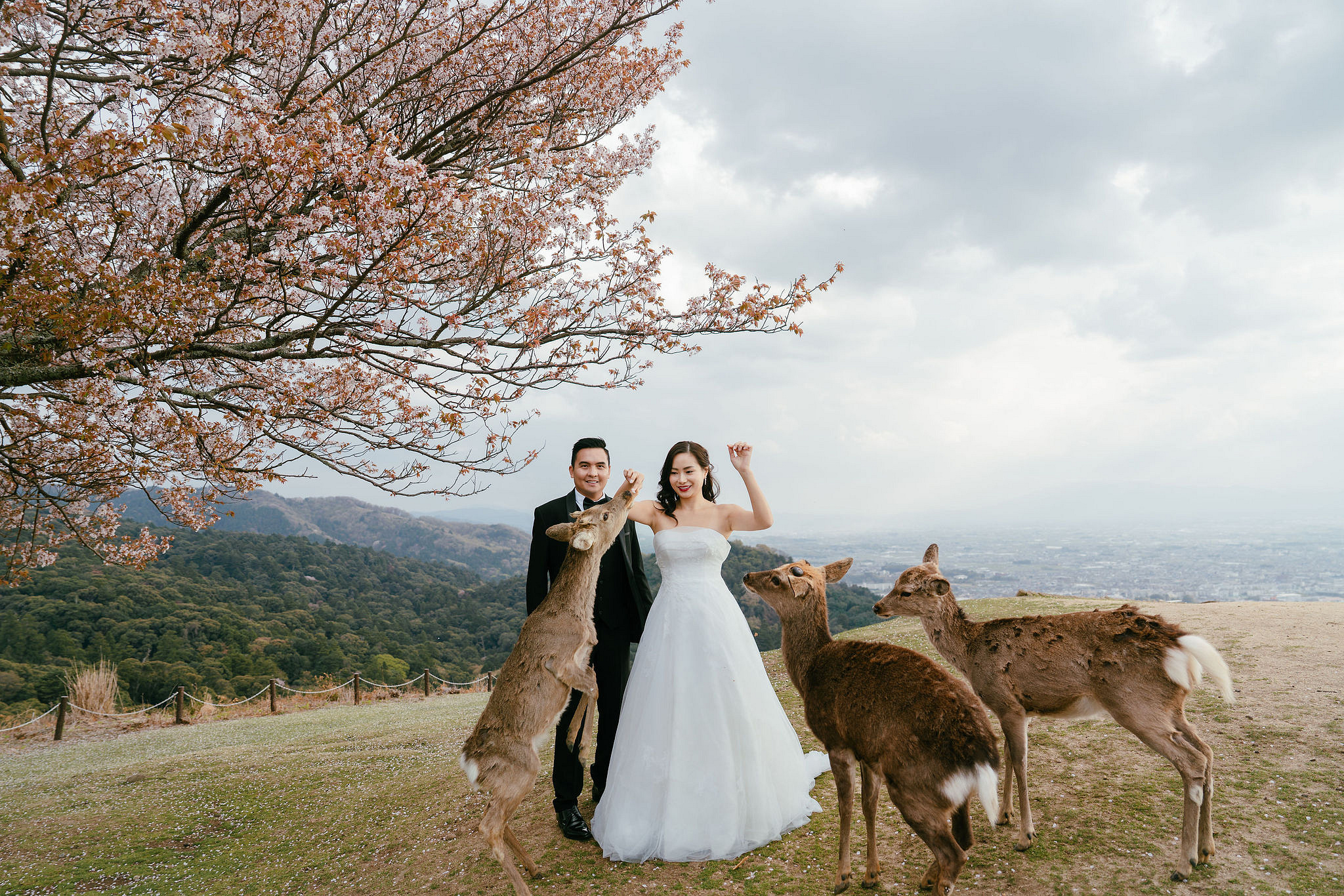Kyoto Pre-Wedding Photoshoot | Gion Canal, Ninenzaka & Mount Wakakusa at Mount Wakakusa, Nara pre-wedding photo
