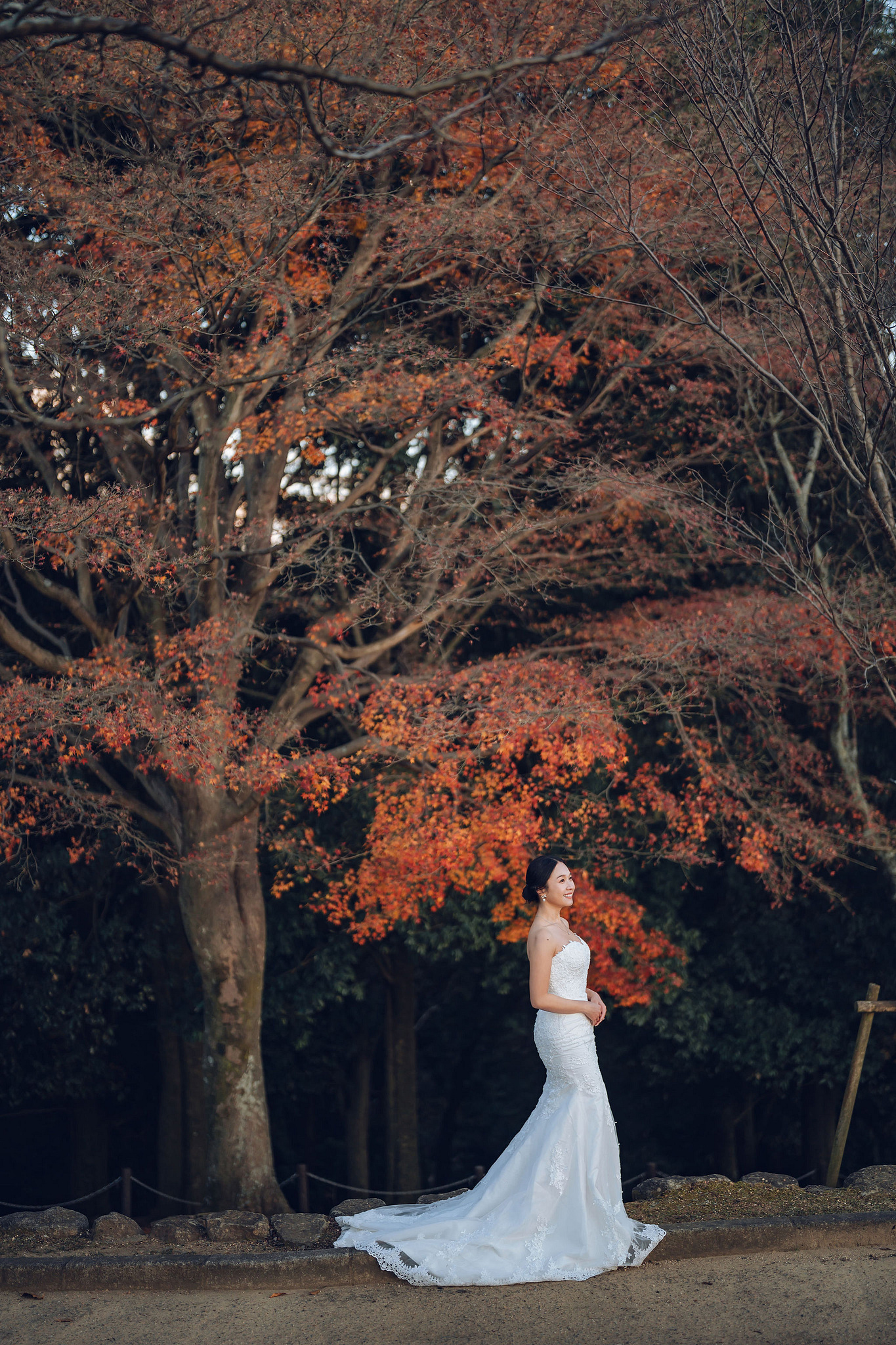 Kyoto Pre-Wedding Photoshoot | Historic Pagoda Streets & Nara Grasslands at Nara Grasslands & Rolling Hills pre-wedding photo