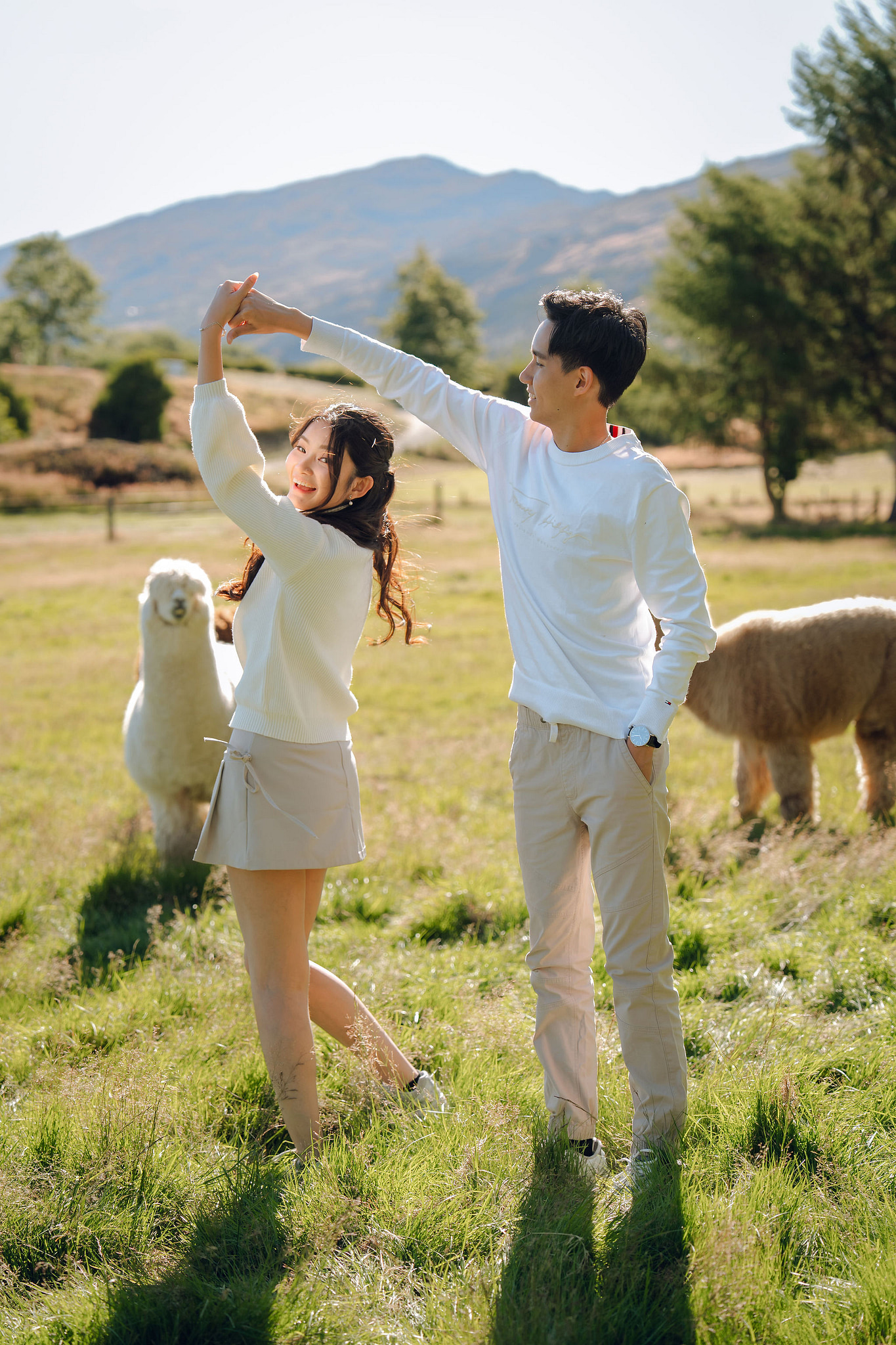 New Zealand Pre-Wedding Photoshoot | Coromandel Peak, Queenstown Highway & Alpaca Farm at Alpaca Farm pre-wedding photo