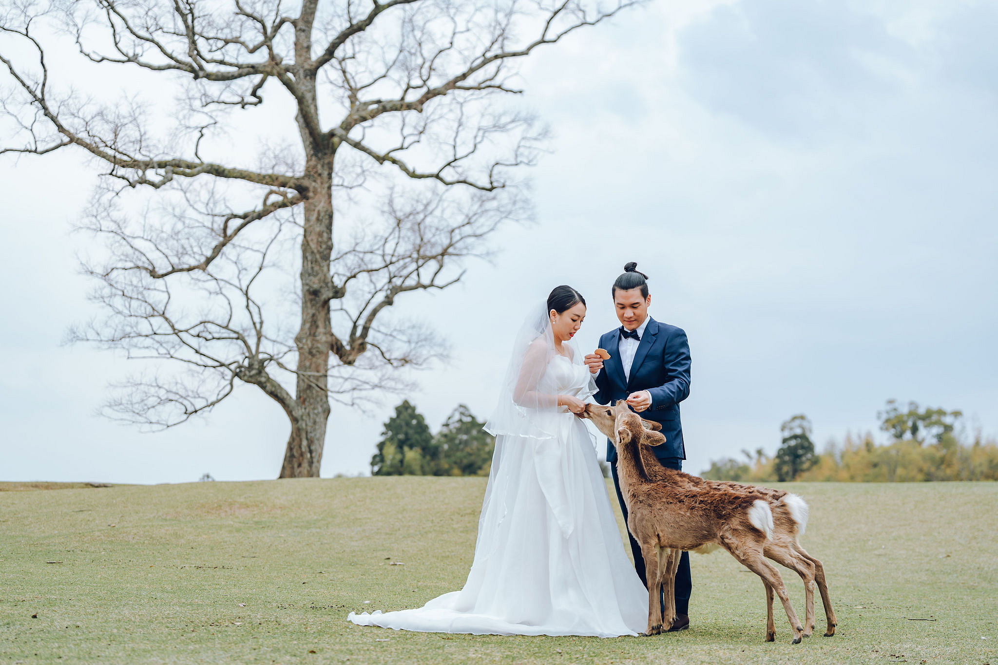 Kyoto Pre-Wedding Photoshoot | Historic Higashiyama Streets, Keage Incline & Nara Park at Nara Park pre-wedding photo