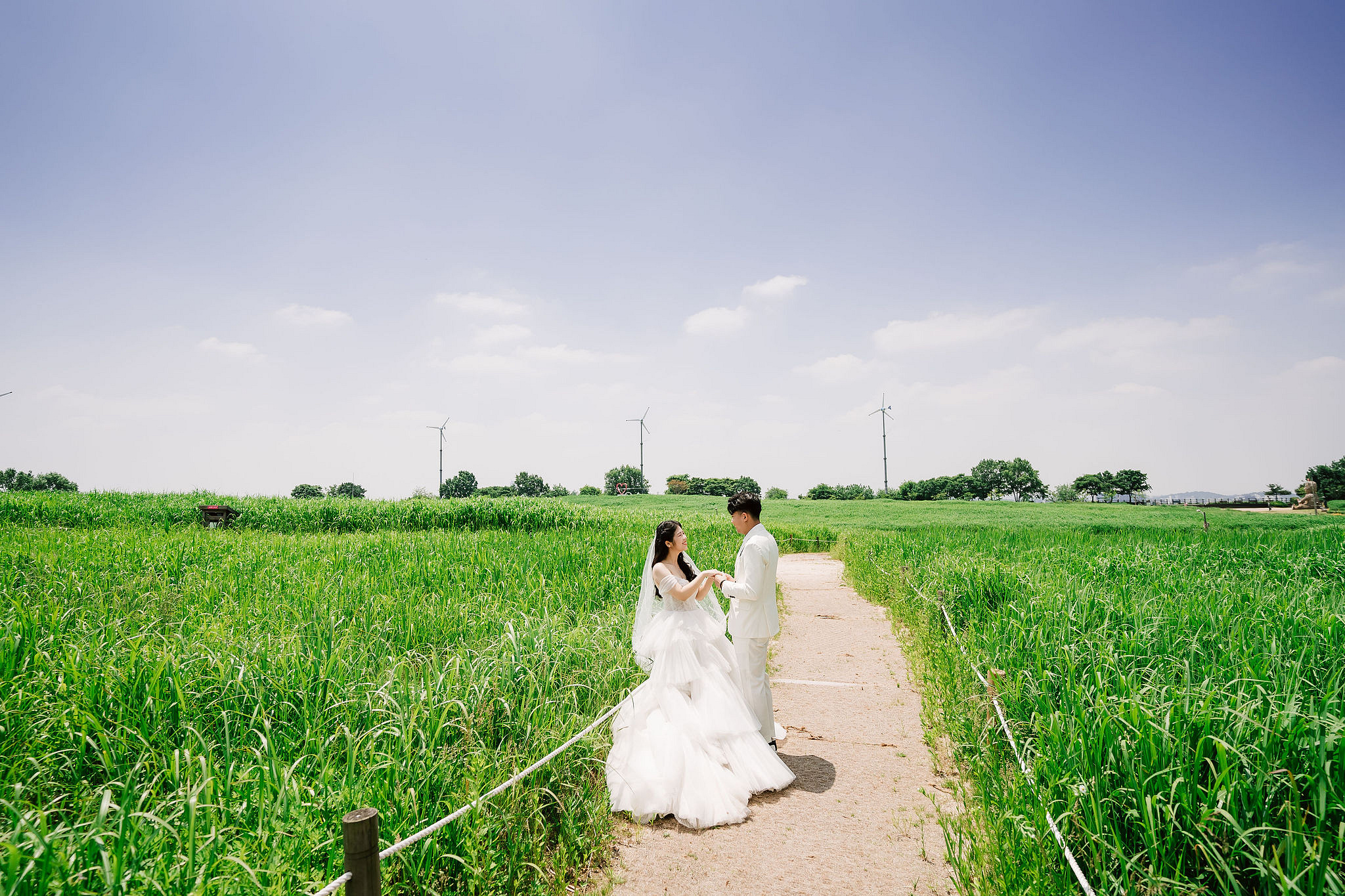 Seoul Pre-Wedding Photoshoot | Haneul Park, Yonsei University & Yeonnam-dong at Haneul Park pre-wedding photo