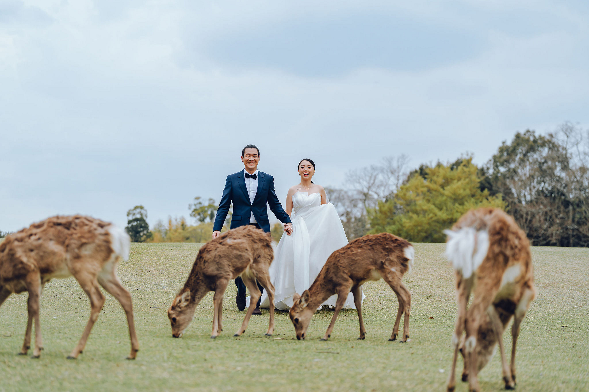 Kyoto Pre-Wedding Photoshoot | Historic Higashiyama Streets, Keage Incline & Nara Park at Nara Park pre-wedding photo