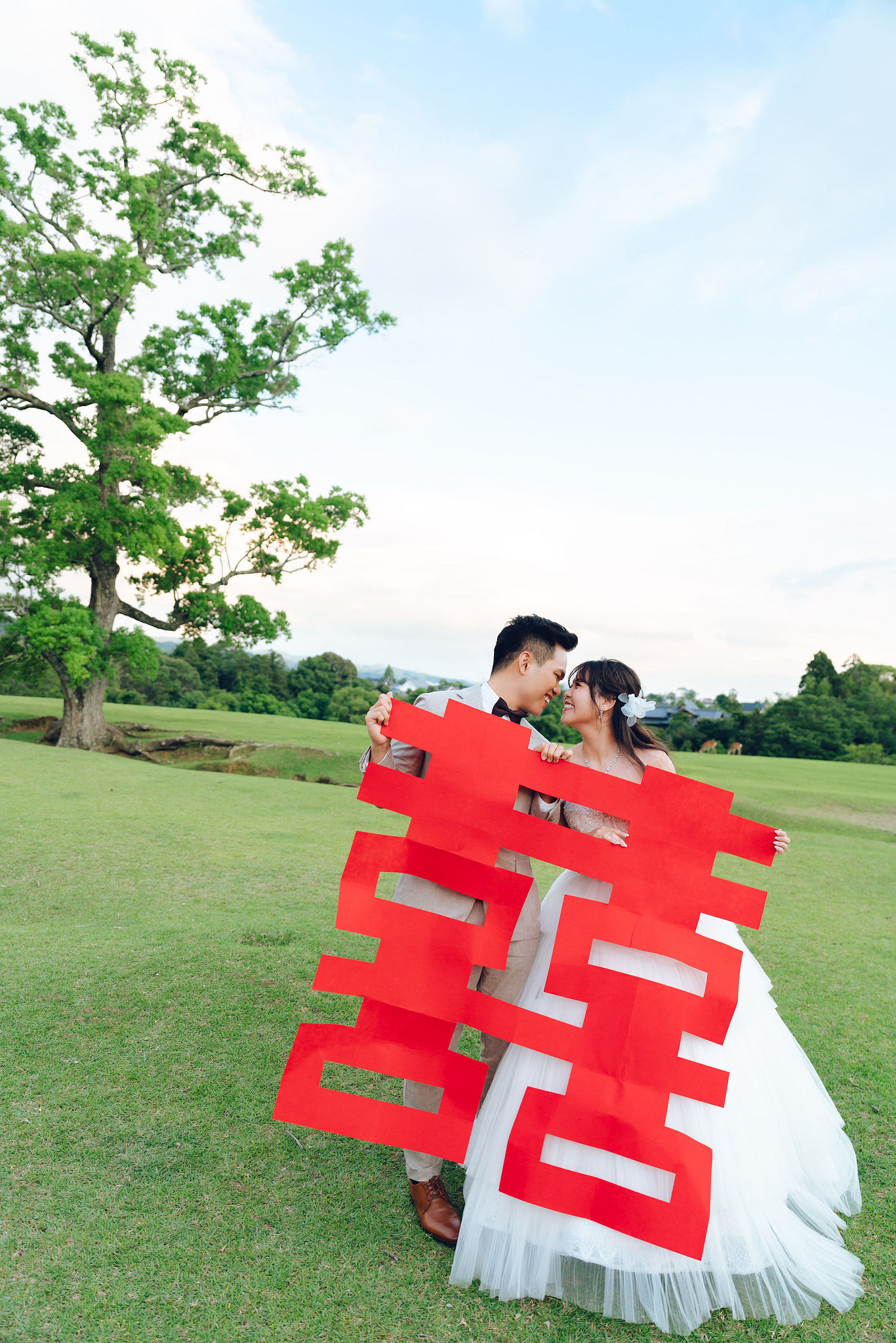 Kyoto Pre-Wedding Photoshoot | Gion Streets, Higashiyama & Nara Park at Nara Park Lawns pre-wedding photo