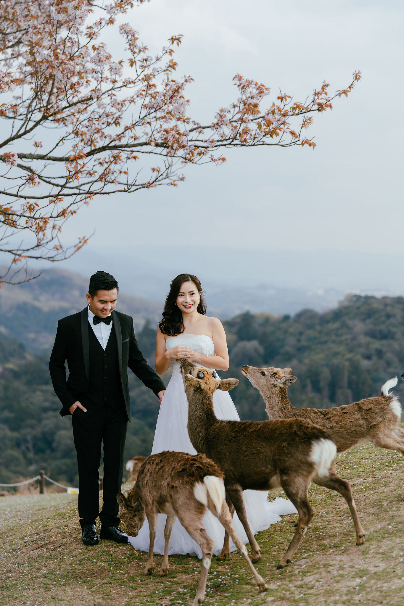 Kyoto Pre-Wedding Photoshoot | Gion Canal, Ninenzaka & Mount Wakakusa at Mount Wakakusa, Nara pre-wedding photo