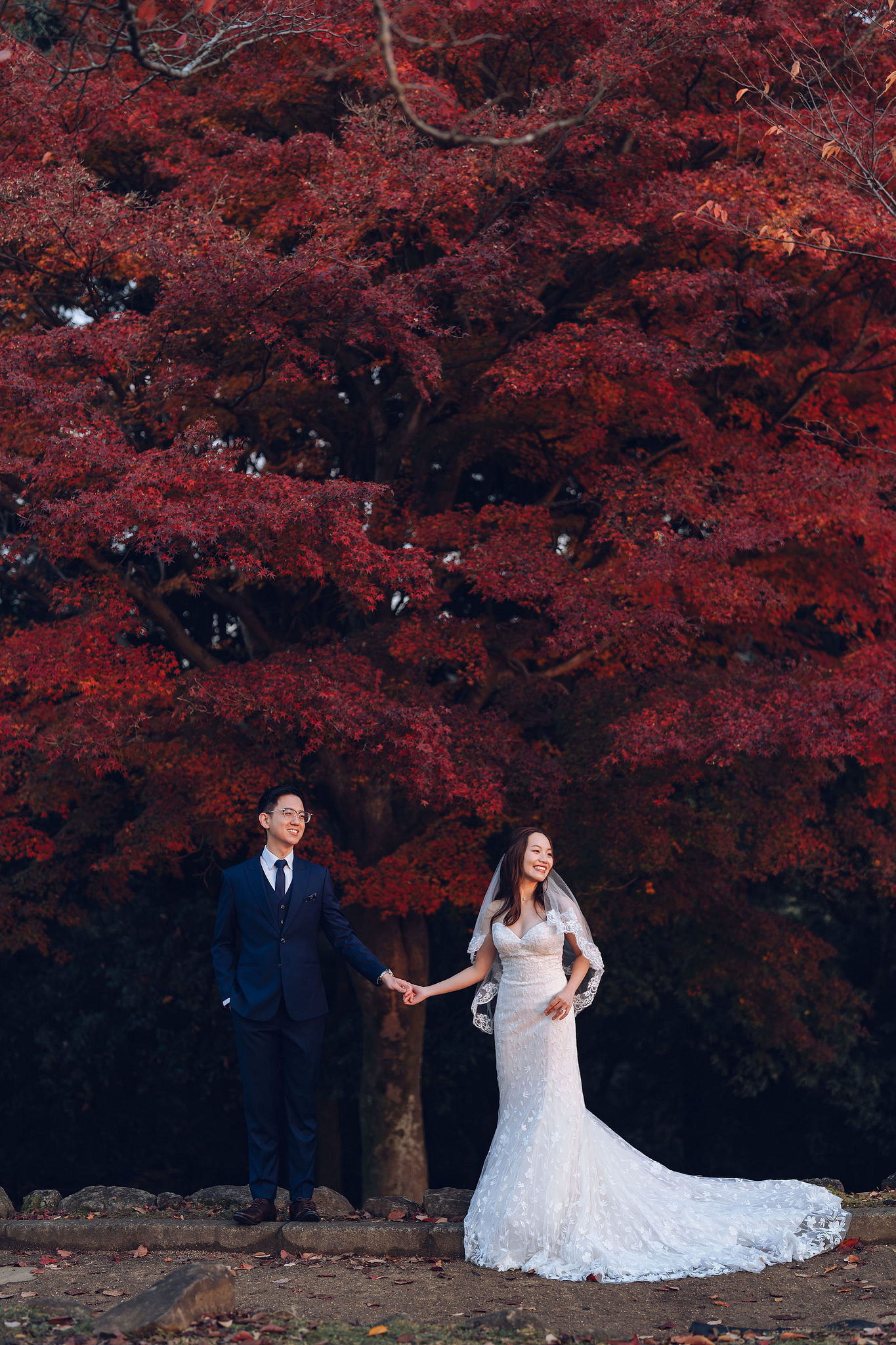Kyoto Pre-Wedding Photoshoot | Kamo River, Nara Deer Park & Mt. Wakakusa at Nara Deer Park pre-wedding photo