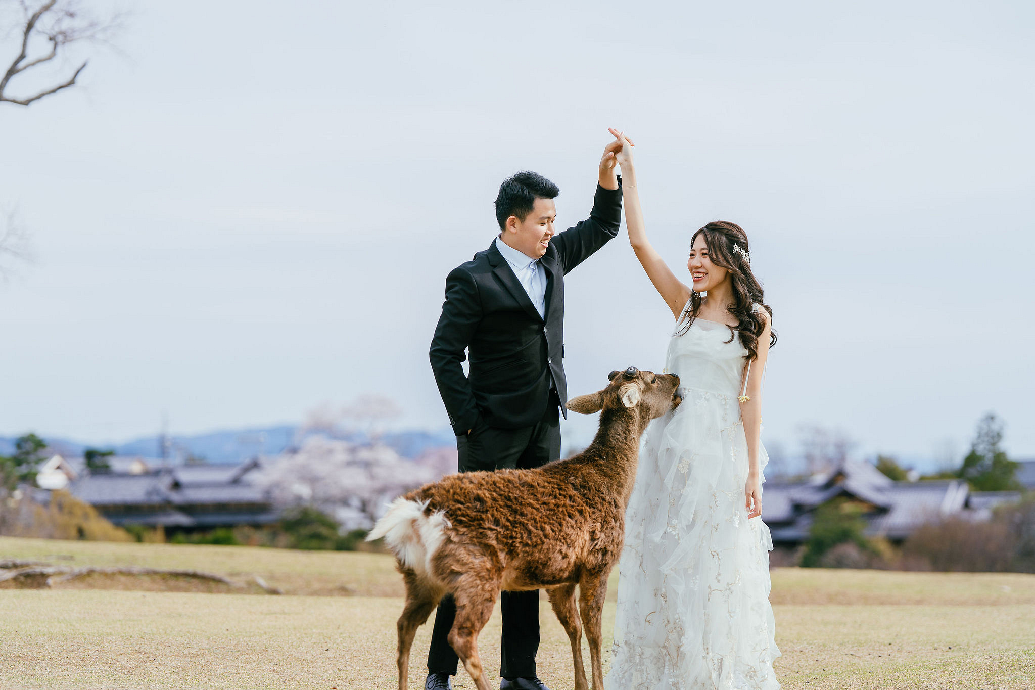 Kyoto Pre-Wedding Photoshoot | Nara Park, Gion & Mount Wakakusa at Nara Park pre-wedding photo