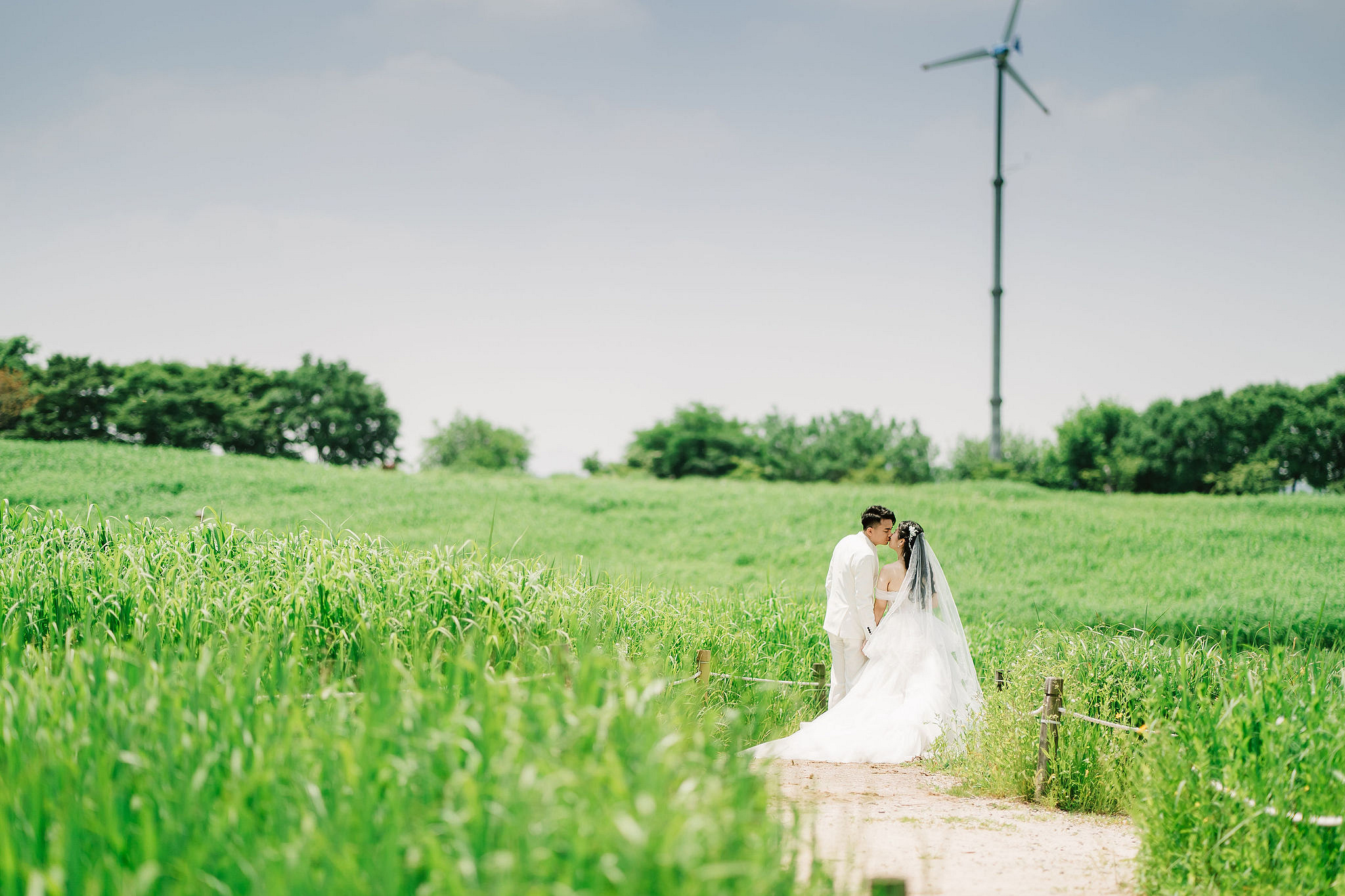 Seoul Pre-Wedding Photoshoot | Haneul Park, Yonsei University & Yeonnam-dong at Haneul Park pre-wedding photo