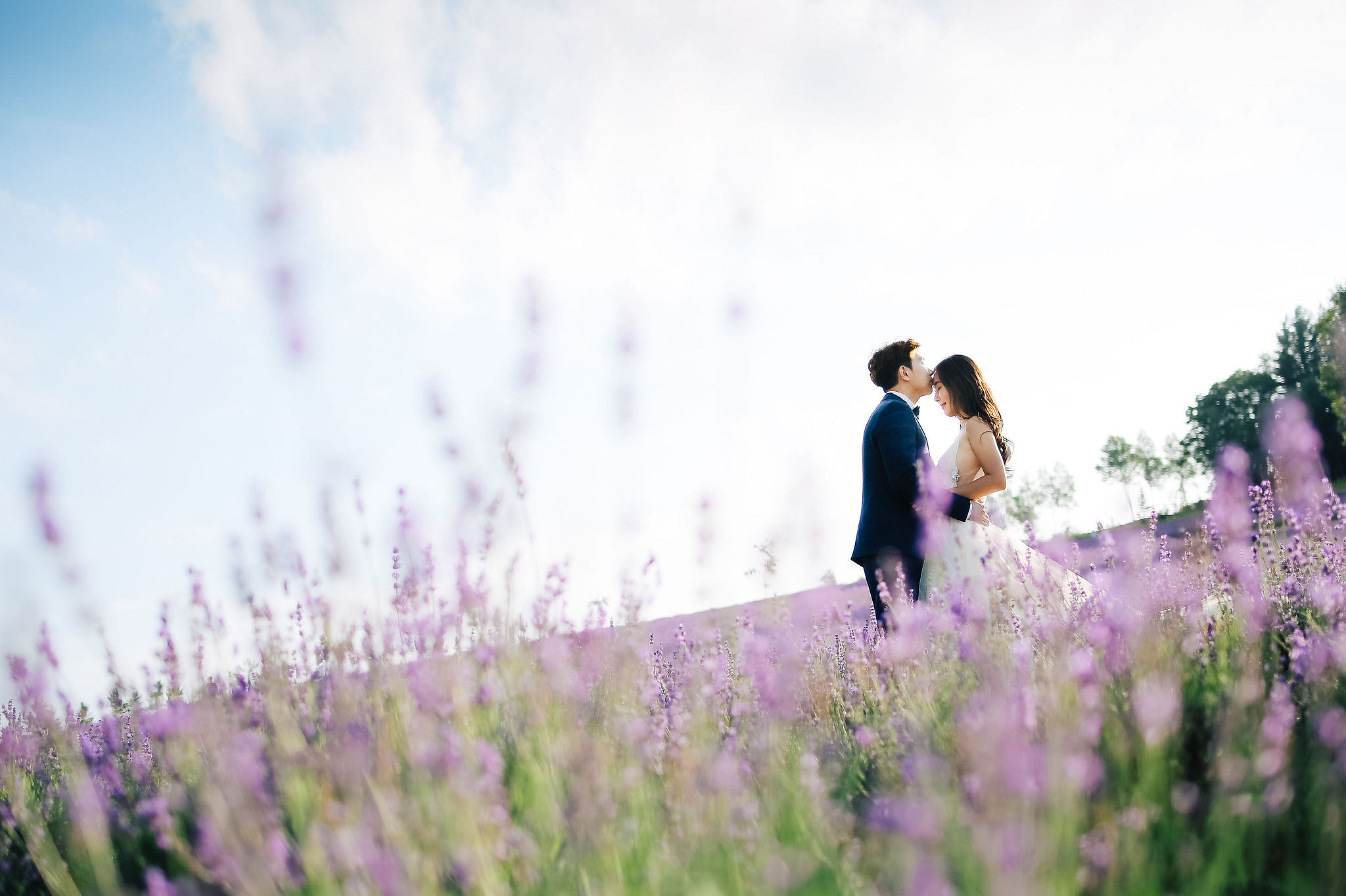 Photographer In Hokkaido: Pre-Wedding Photoshoot At Blue Pond And Saika No Sato Flower Farm at Blue Pond & Lavender Park pre-wedding photo