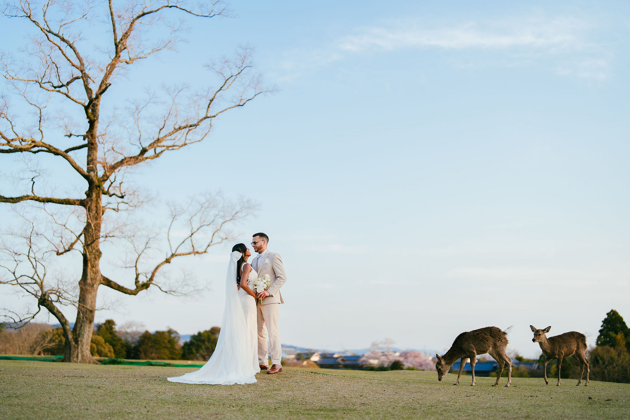 Kyoto Post-Wedding Photoshoot | Gion, Nara Deer Park & Mt. Wakakusa at Wakakusa pre-wedding photo