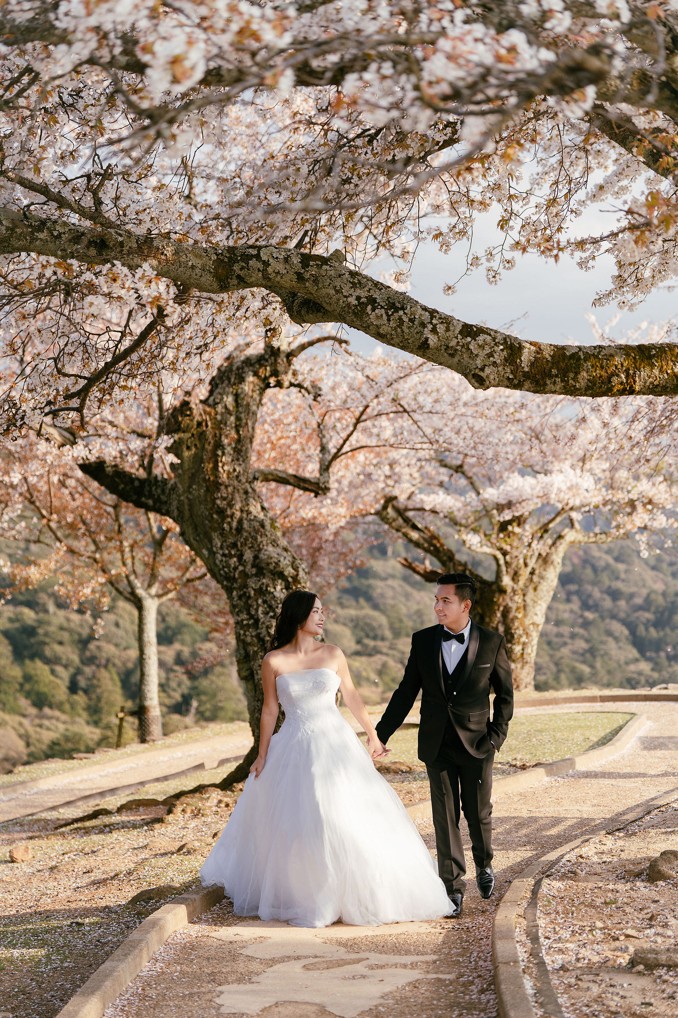 Kyoto Pre-Wedding Photoshoot | Gion Canal, Ninenzaka & Mount Wakakusa at Mount Wakakusa, Nara pre-wedding photo