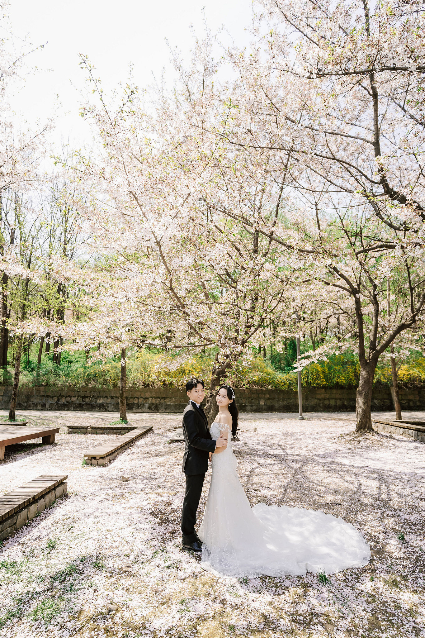 Seoul Pre-Wedding Photoshoot | Seoul Forest, Namsan Tower & Namsangol Hanok Village at Seoul Forest pre-wedding photo