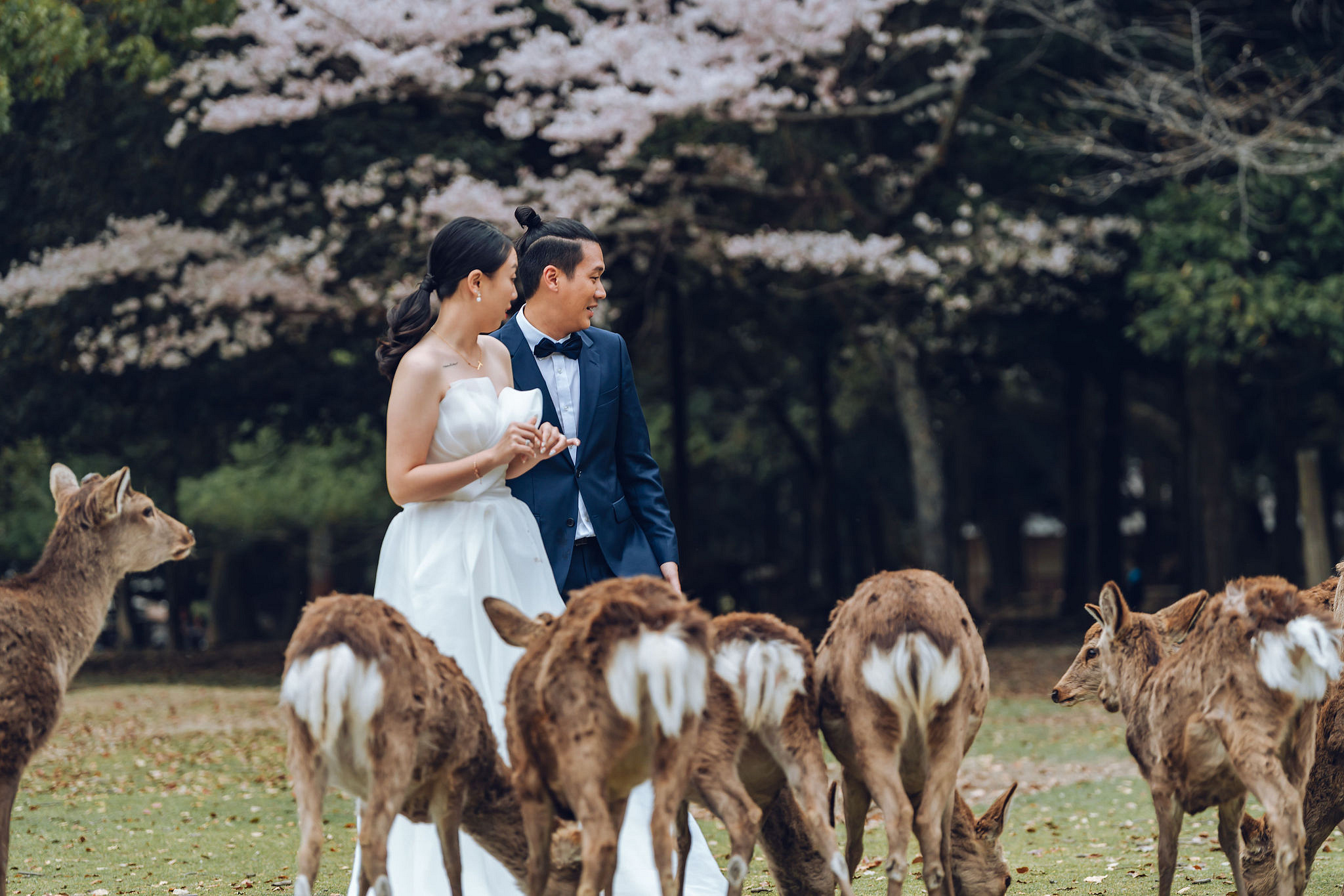 Kyoto Pre-Wedding Photoshoot | Historic Higashiyama Streets, Keage Incline & Nara Park at Nara Park pre-wedding photo