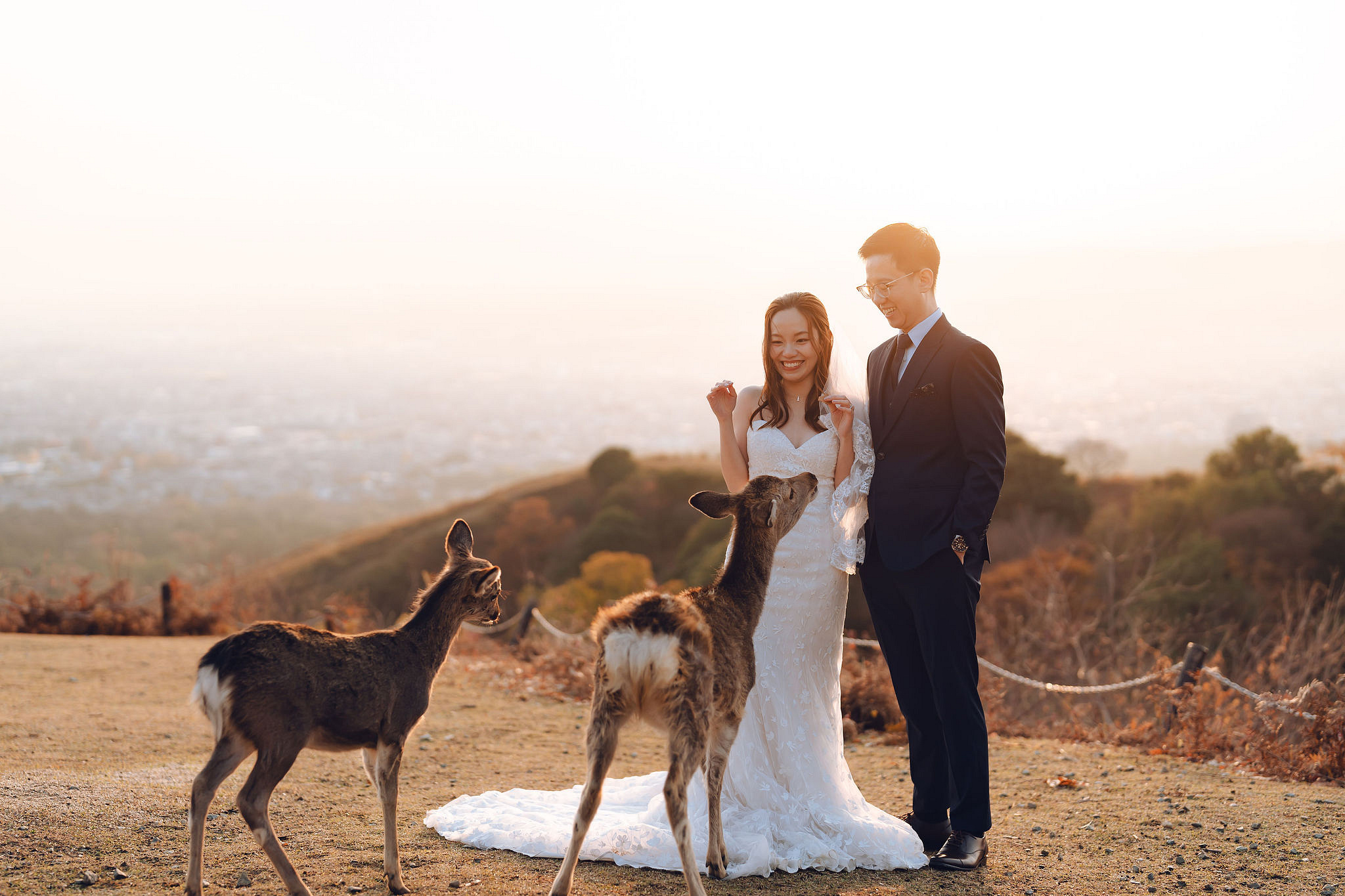 Kyoto Pre-Wedding Photoshoot | Kamo River, Nara Deer Park & Mt. Wakakusa at Mt. Wakakusa pre-wedding photo