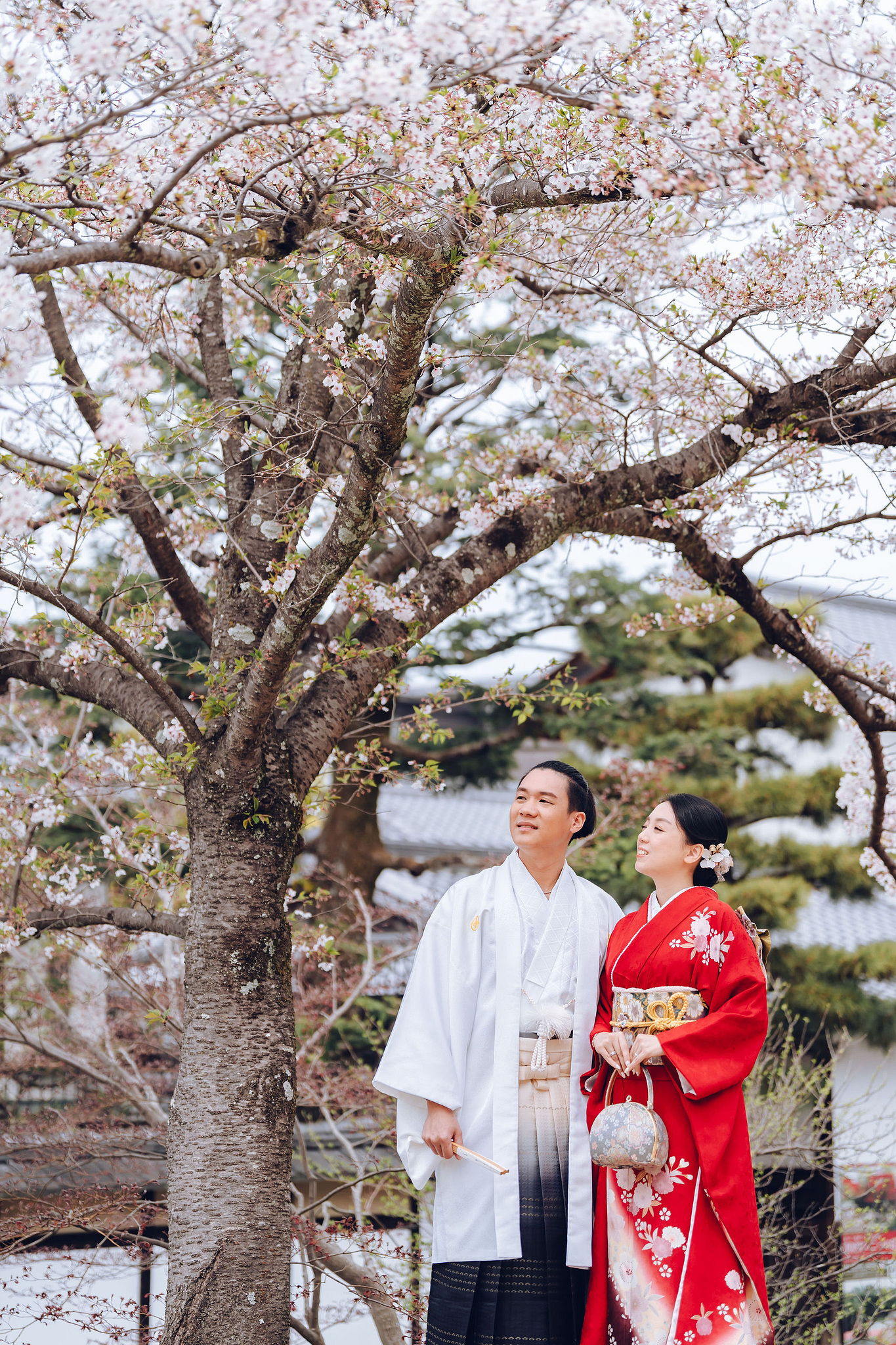 Kyoto Pre-Wedding Photoshoot | Historic Higashiyama Streets, Keage Incline & Nara Park at Higashiyama & Yasaka Pagoda pre-wedding photo