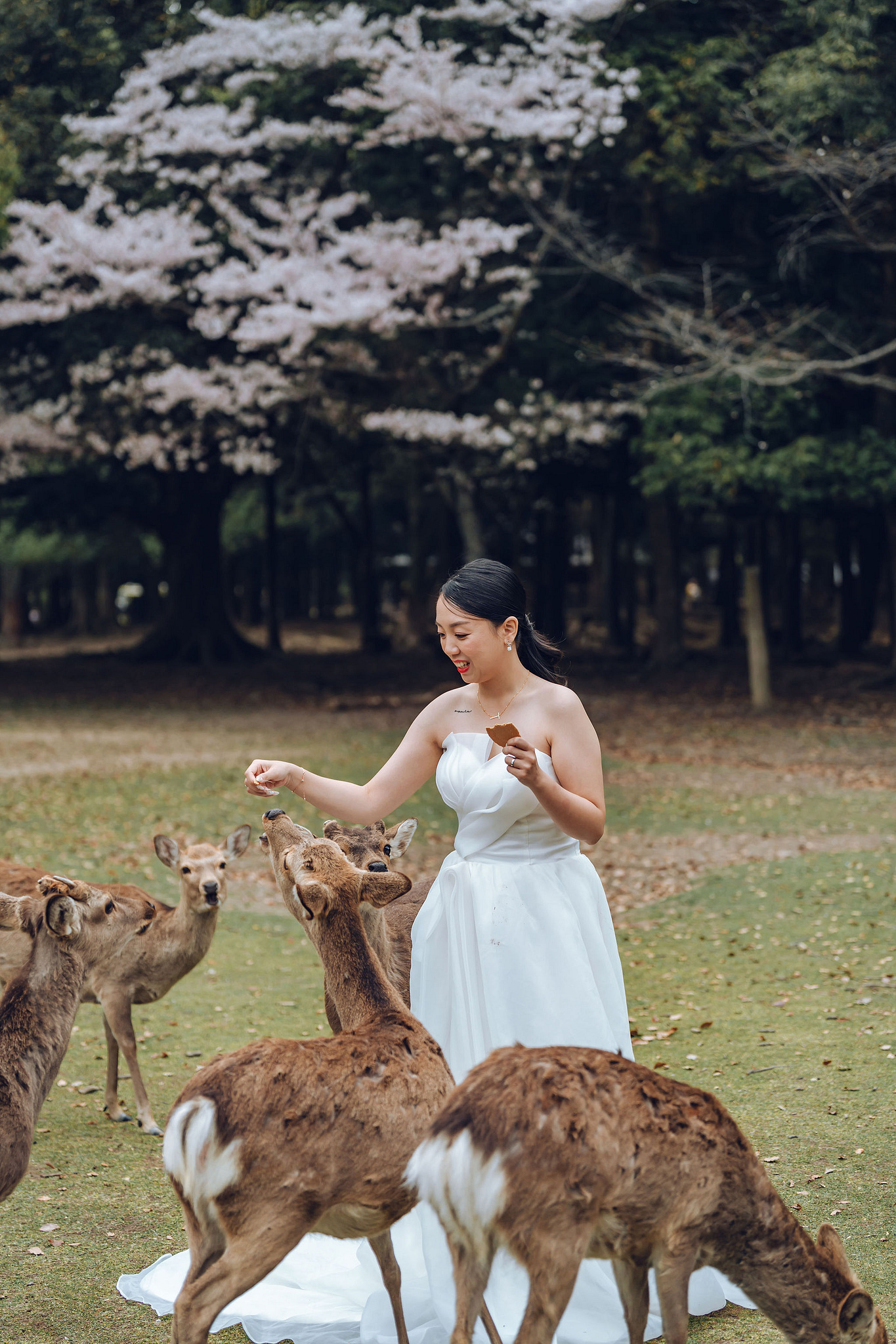 Kyoto Pre-Wedding Photoshoot | Historic Higashiyama Streets, Keage Incline & Nara Park at Nara Park pre-wedding photo