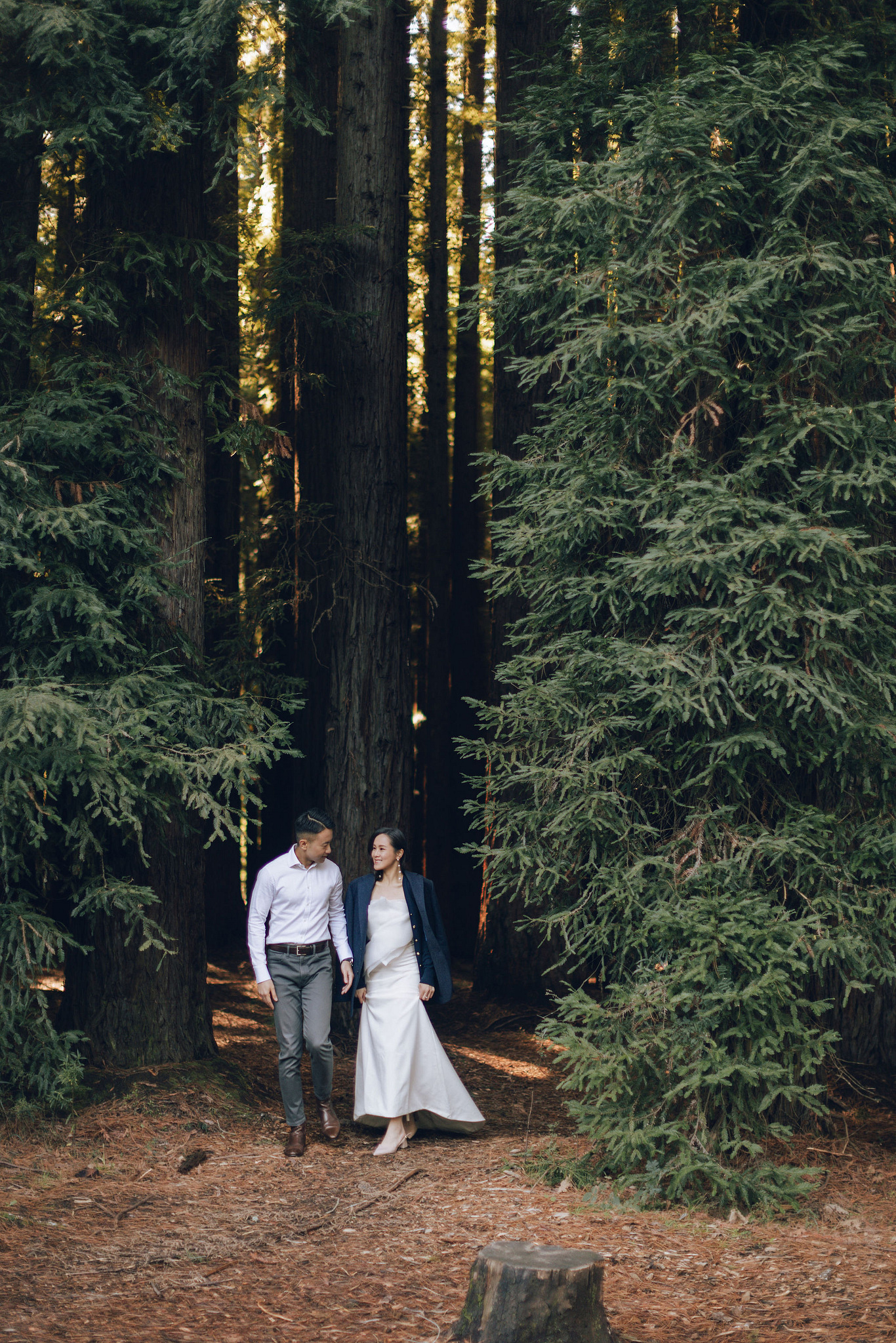 Melbourne Pre-Wedding Photoshoot | Cafe, Redwood Forest, City Streets & Carlton Gardens at Redwood Forest pre-wedding photo