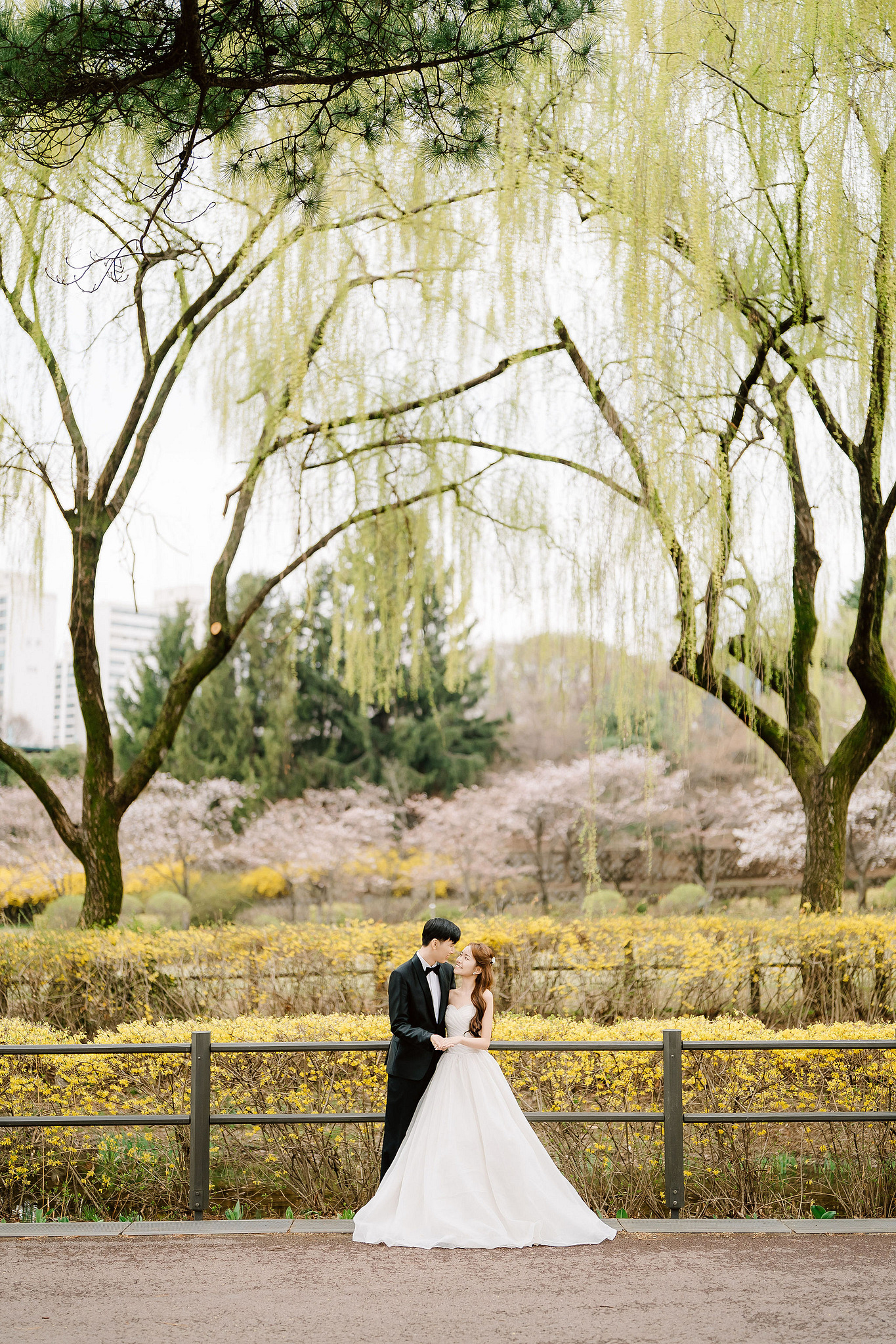 Seoul Pre-Wedding Photoshoot | Yongsan Park, Yonsei University & Kyung Hee University at Yongsan Park pre-wedding photo