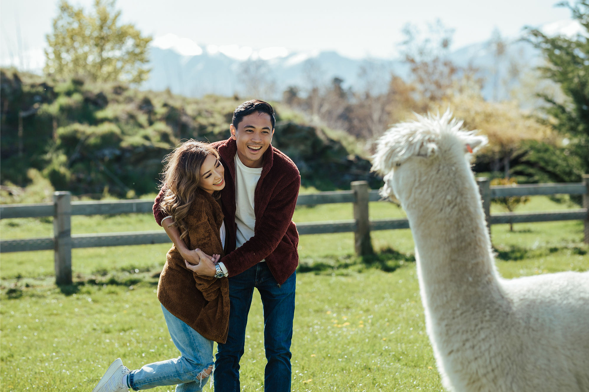 Kryz Uy And Slater Pre Wedding Photoshoot At Roy's Peak, Alpaca Farm And Arrowtown at Alpaca Farm pre-wedding photo