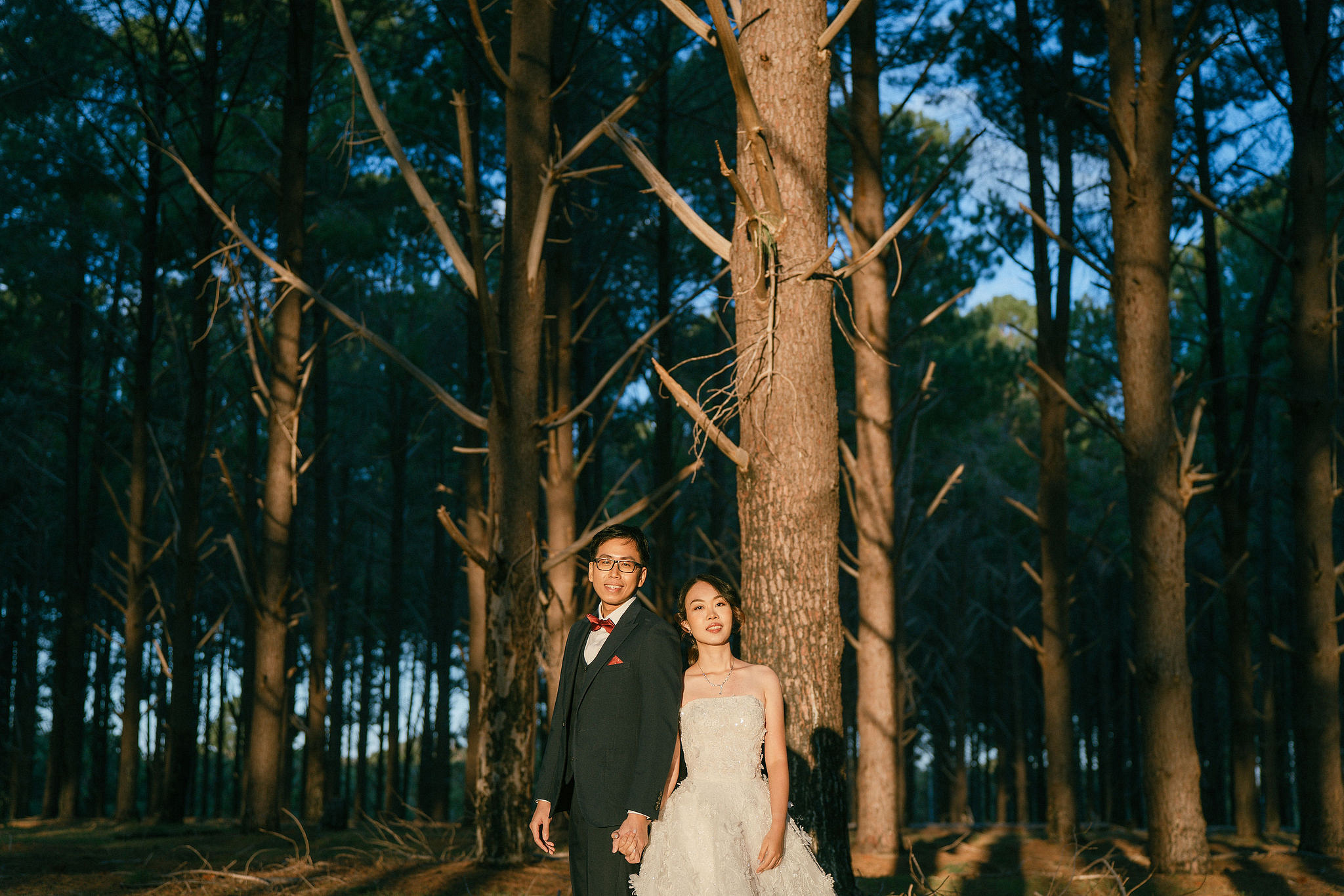 Perth Pre-Wedding Photoshoot | State Buildings & Wanneroo Pines at Wanneroo Pines pre-wedding photo