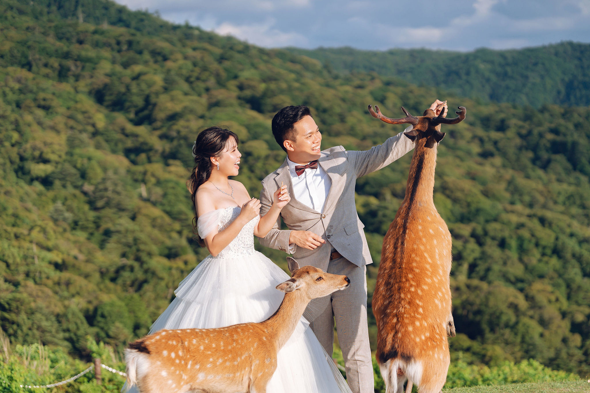 Kyoto Pre-Wedding Photoshoot | Gion Streets, Higashiyama & Nara Park at Nara Park Lawns pre-wedding photo