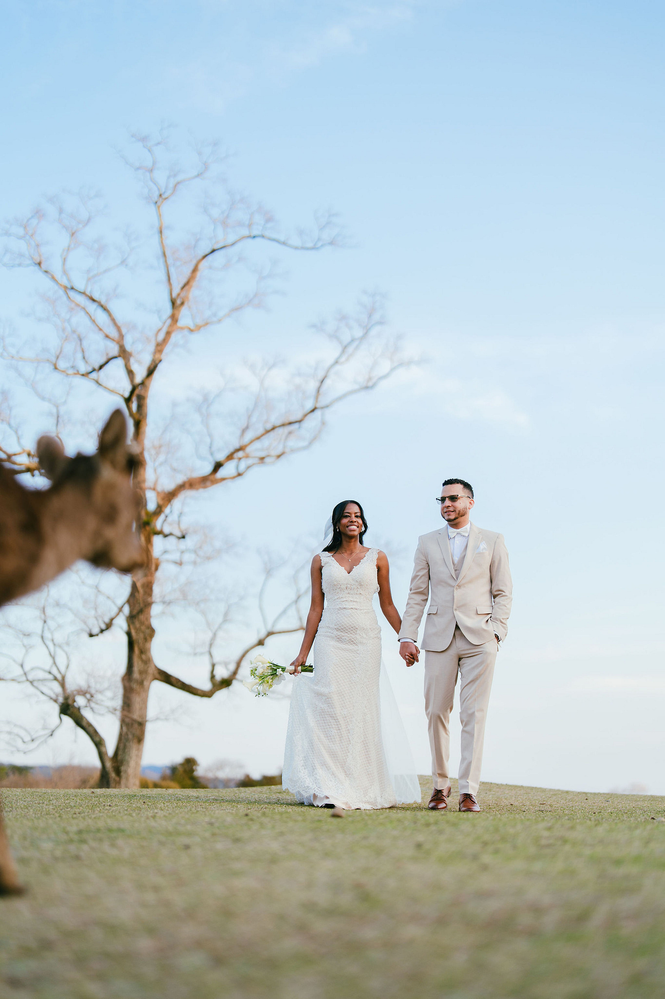 Kyoto Post-Wedding Photoshoot | Gion, Nara Deer Park & Mt. Wakakusa at Wakakusa pre-wedding photo
