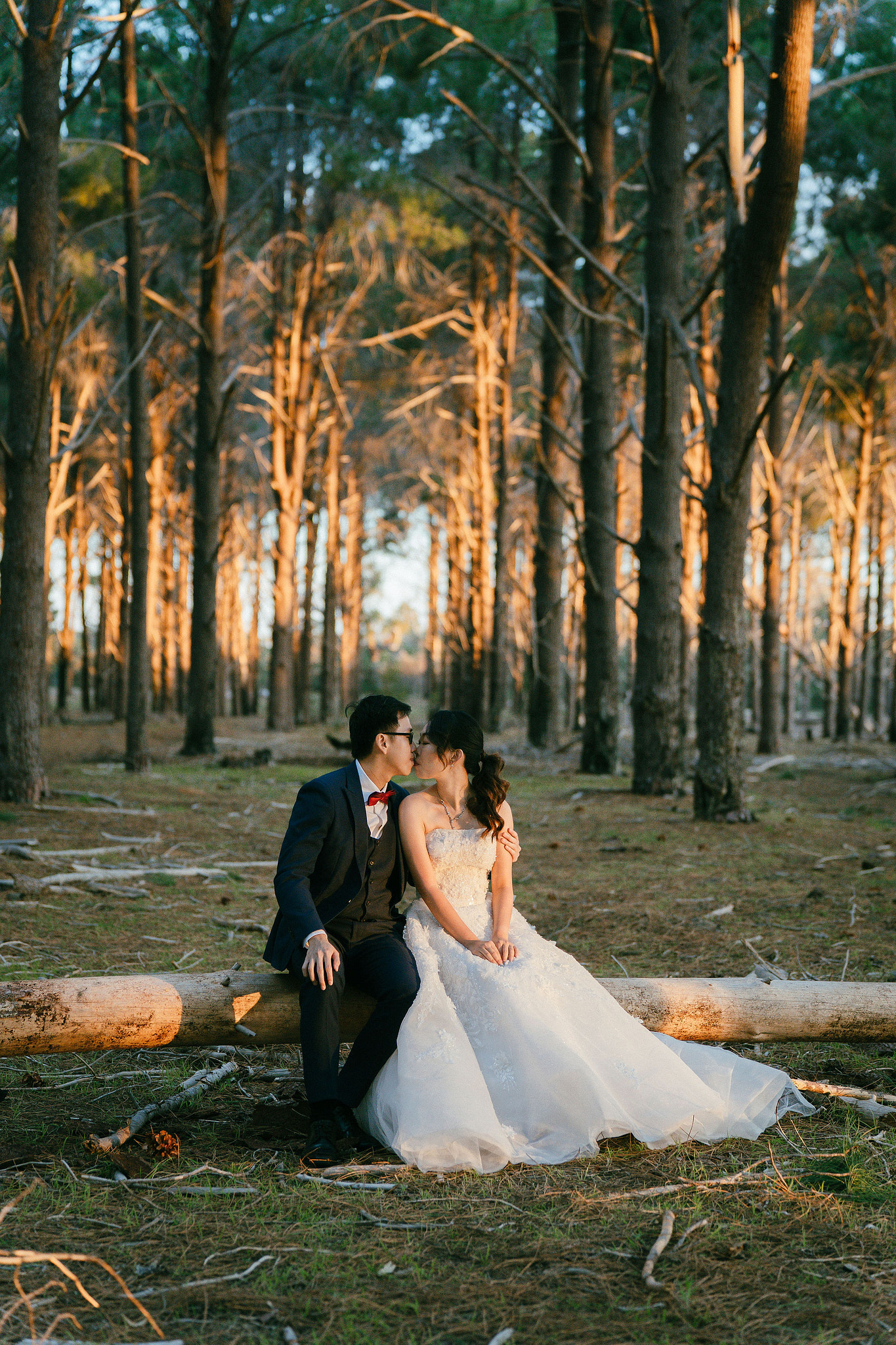 Perth Pre-Wedding Photoshoot | State Buildings & Wanneroo Pines at Wanneroo Pines pre-wedding photo