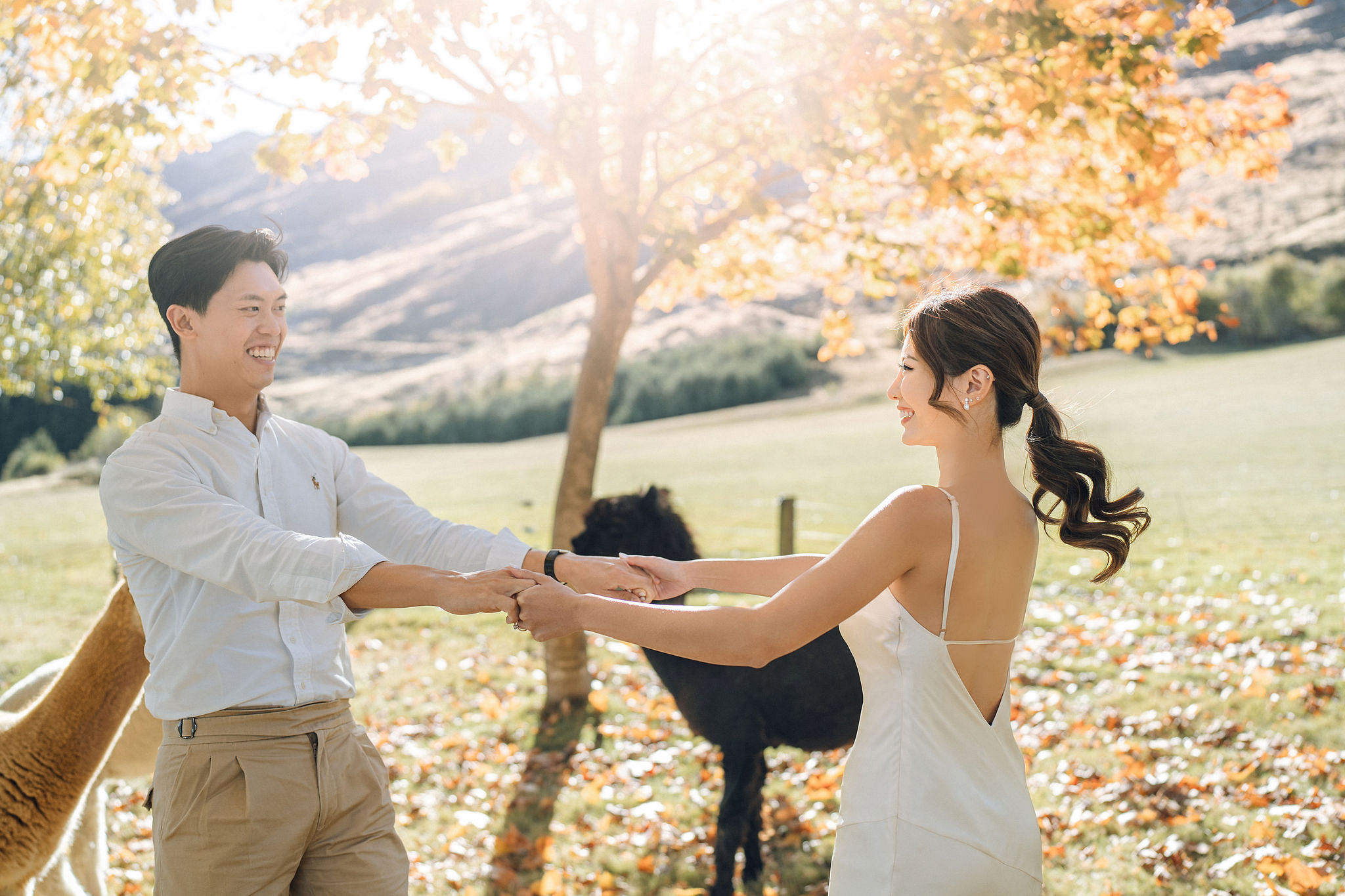New Zealand Autumn Pre-Wedding Photoshoot Twin Peak Skippers Canyon Alpaca Farm Hilltop Cardrona Night Shoot Kombi Van at Alpaca Farm pre-wedding photo