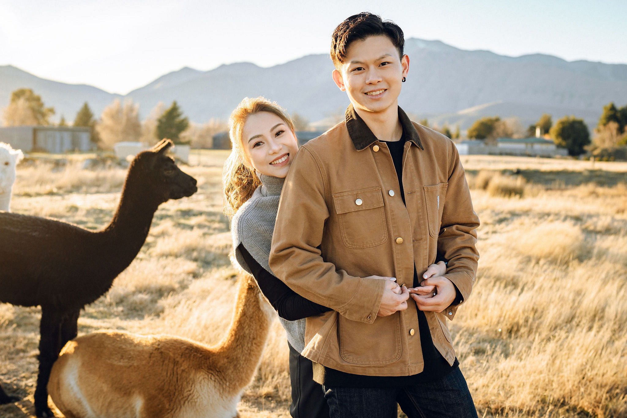 New Zealand Pre-Wedding Photoshoot | Alpaca Farm, Mt John, Lake Tekapo, Mount Cook National Park, Glacier Lake & Omarama Clay Cliffs at Alpaca Farm & Mt John pre-wedding photo
