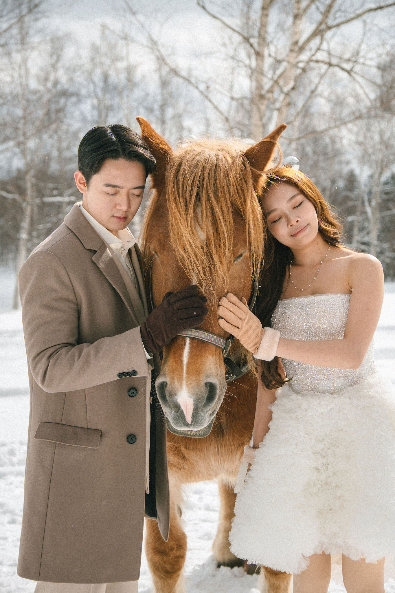 Hokkaido Pre-Wedding Photoshoot | Birch Forest, Rusutsu Resort & Hirafu Village at Birch Forest pre-wedding photo