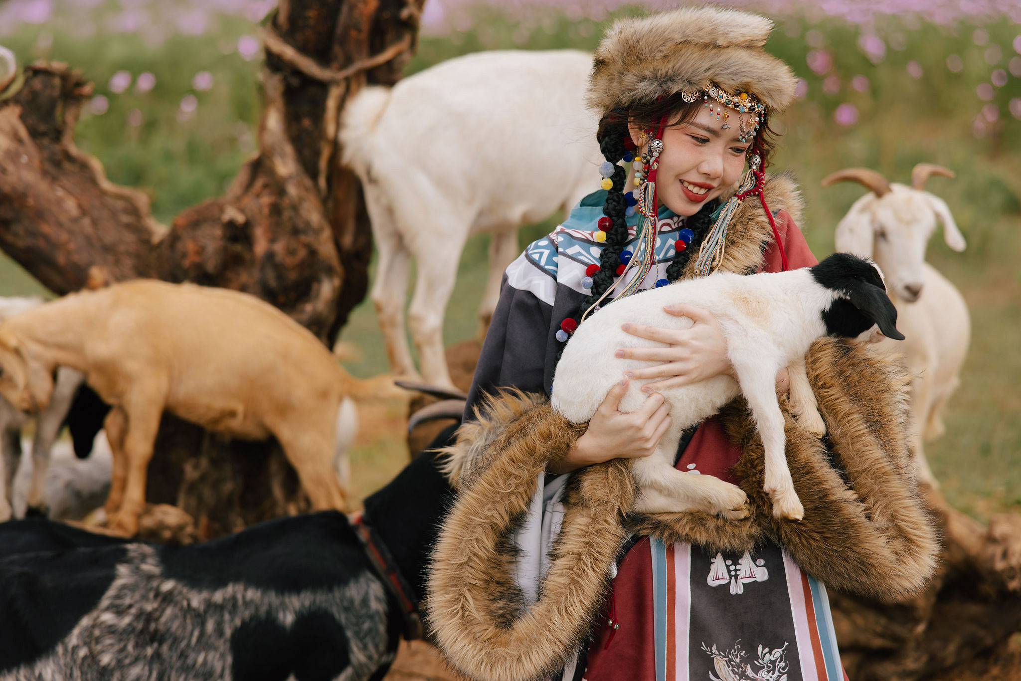 Yunnan Pre-Wedding Photoshoot Lijiang Dragon Jade Mountain Tribal Experience Ancient Town Hanfu at Yunnan Highland Pastures pre-wedding photo