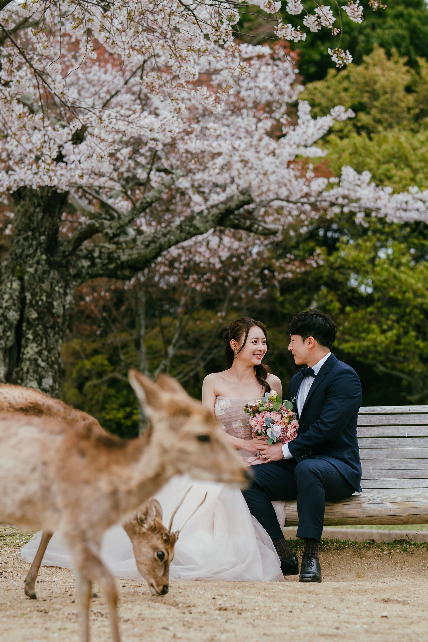 Kyoto Pre-Wedding Photoshoot | Fushimi Inari, Nara Deer Park & Mt. Wakakusa at Mt. Wakakusa pre-wedding photo