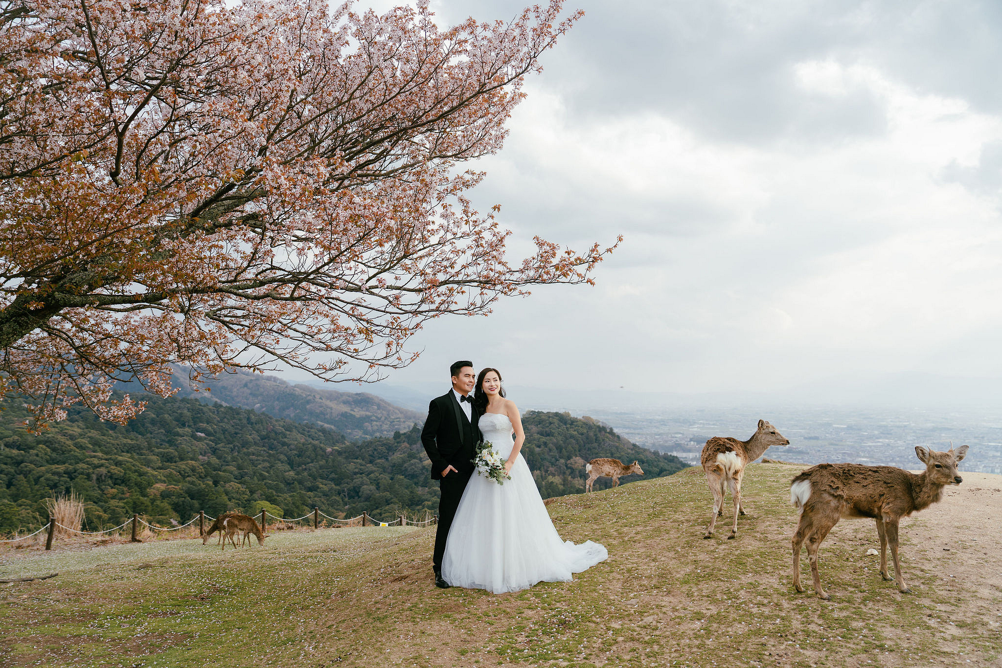 Kyoto Pre-Wedding Photoshoot | Gion Canal, Ninenzaka & Mount Wakakusa at Mount Wakakusa, Nara pre-wedding photo
