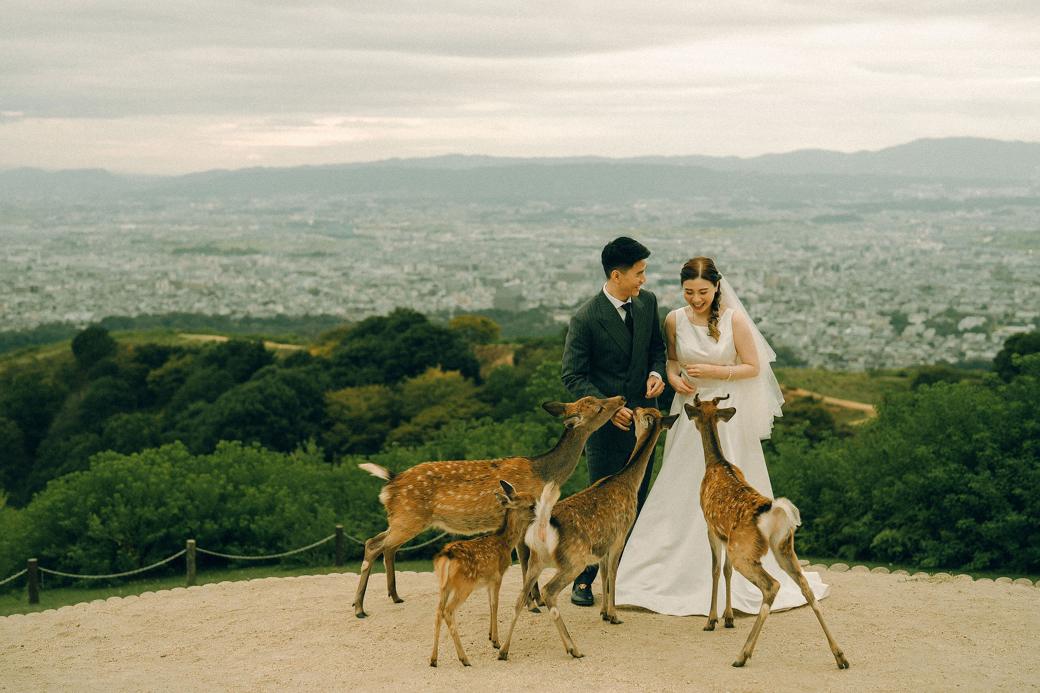Kyoto Pre-Wedding Photoshoot | Fushimi Inari, Gion & Nara Park at Nara Park & Surrounding Hills pre-wedding photo