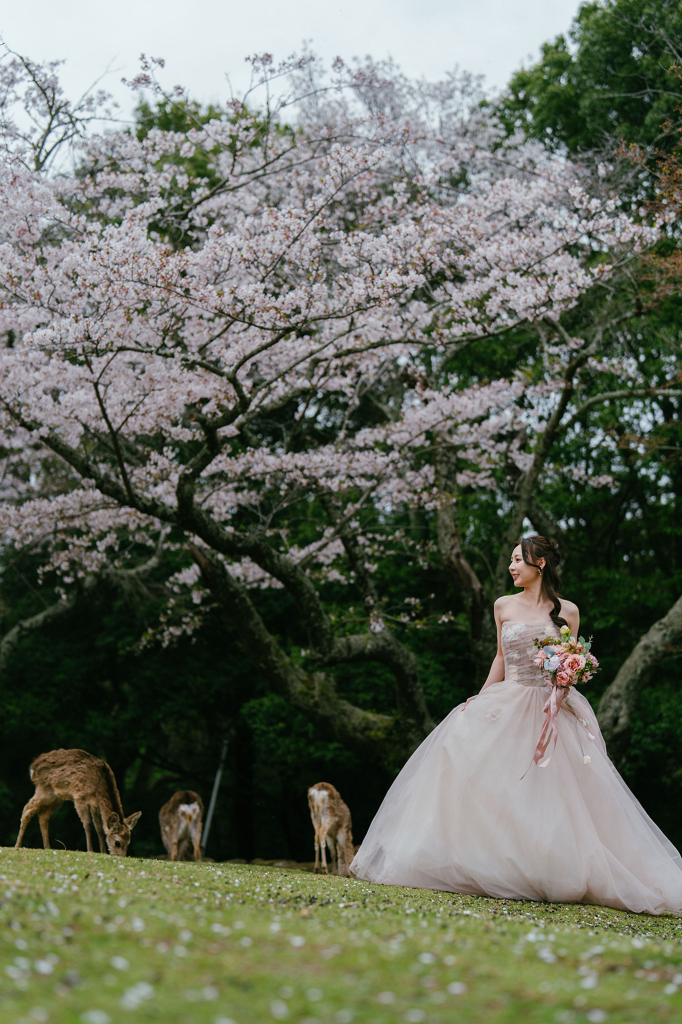 Kyoto Pre-Wedding Photoshoot | Fushimi Inari, Nara Deer Park & Mt. Wakakusa at Mt. Wakakusa pre-wedding photo