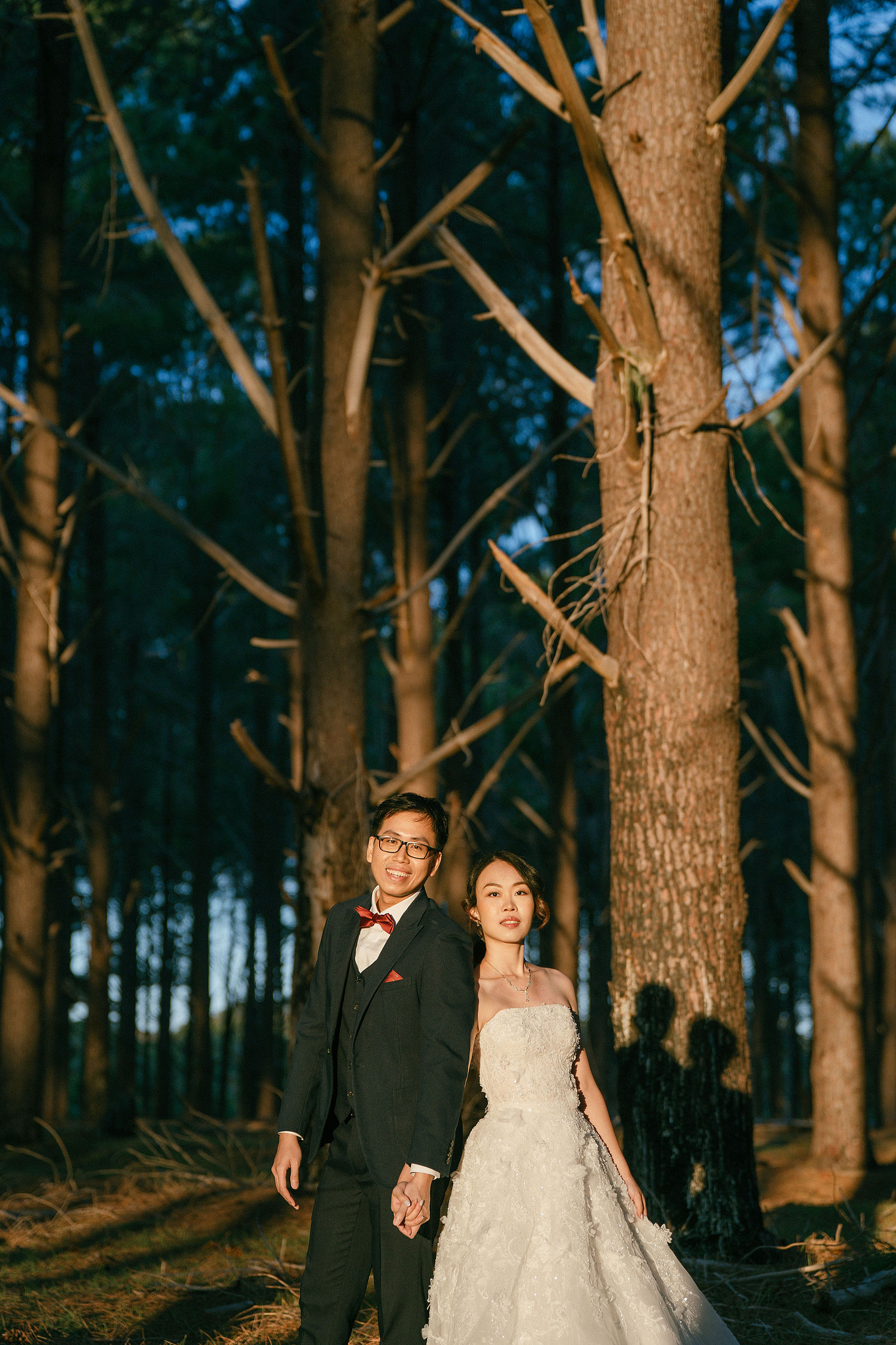 Perth Pre-Wedding Photoshoot | State Buildings & Wanneroo Pines at Wanneroo Pines pre-wedding photo