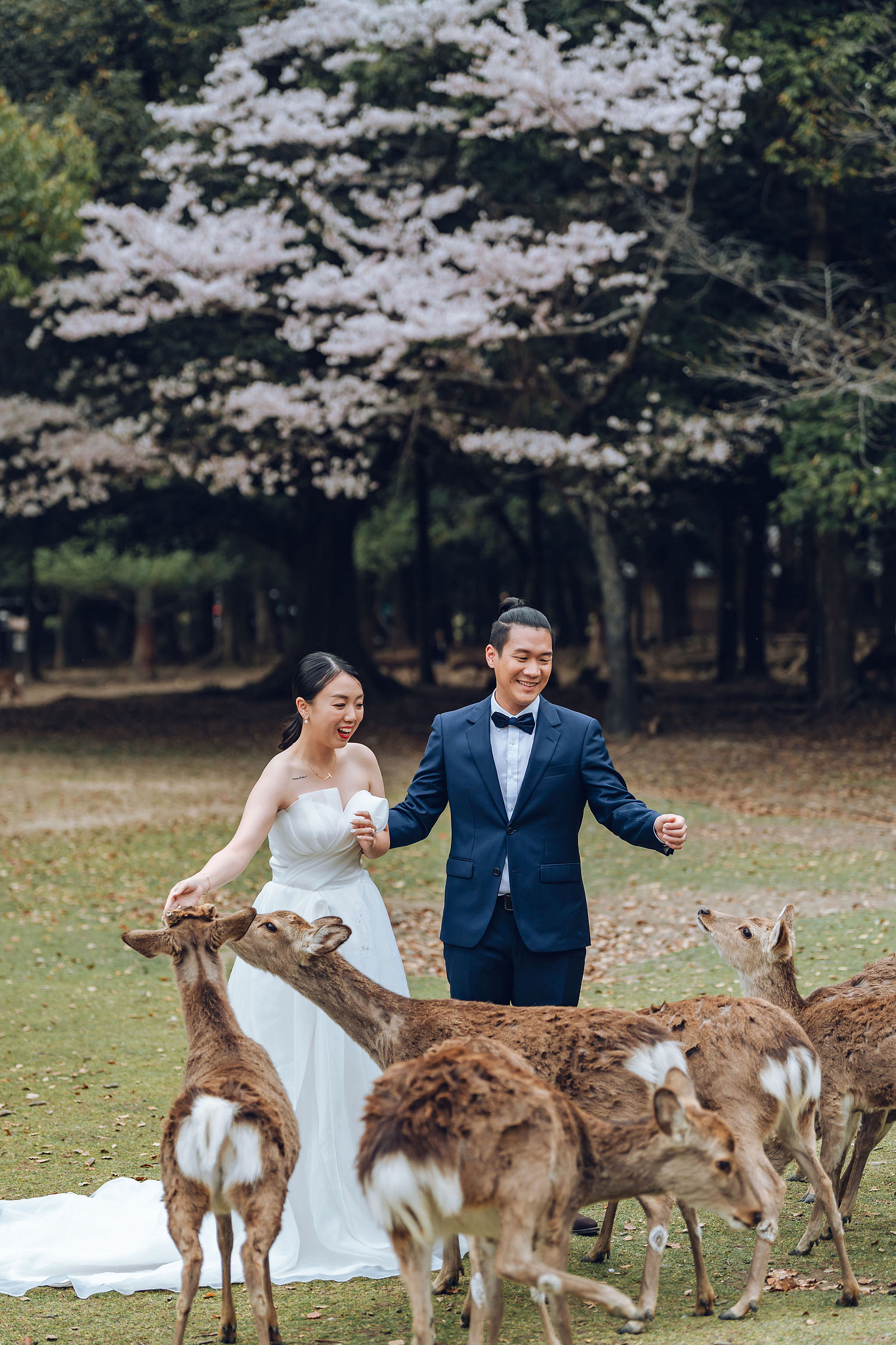 Kyoto Pre-Wedding Photoshoot | Historic Higashiyama Streets, Keage Incline & Nara Park at Nara Park pre-wedding photo
