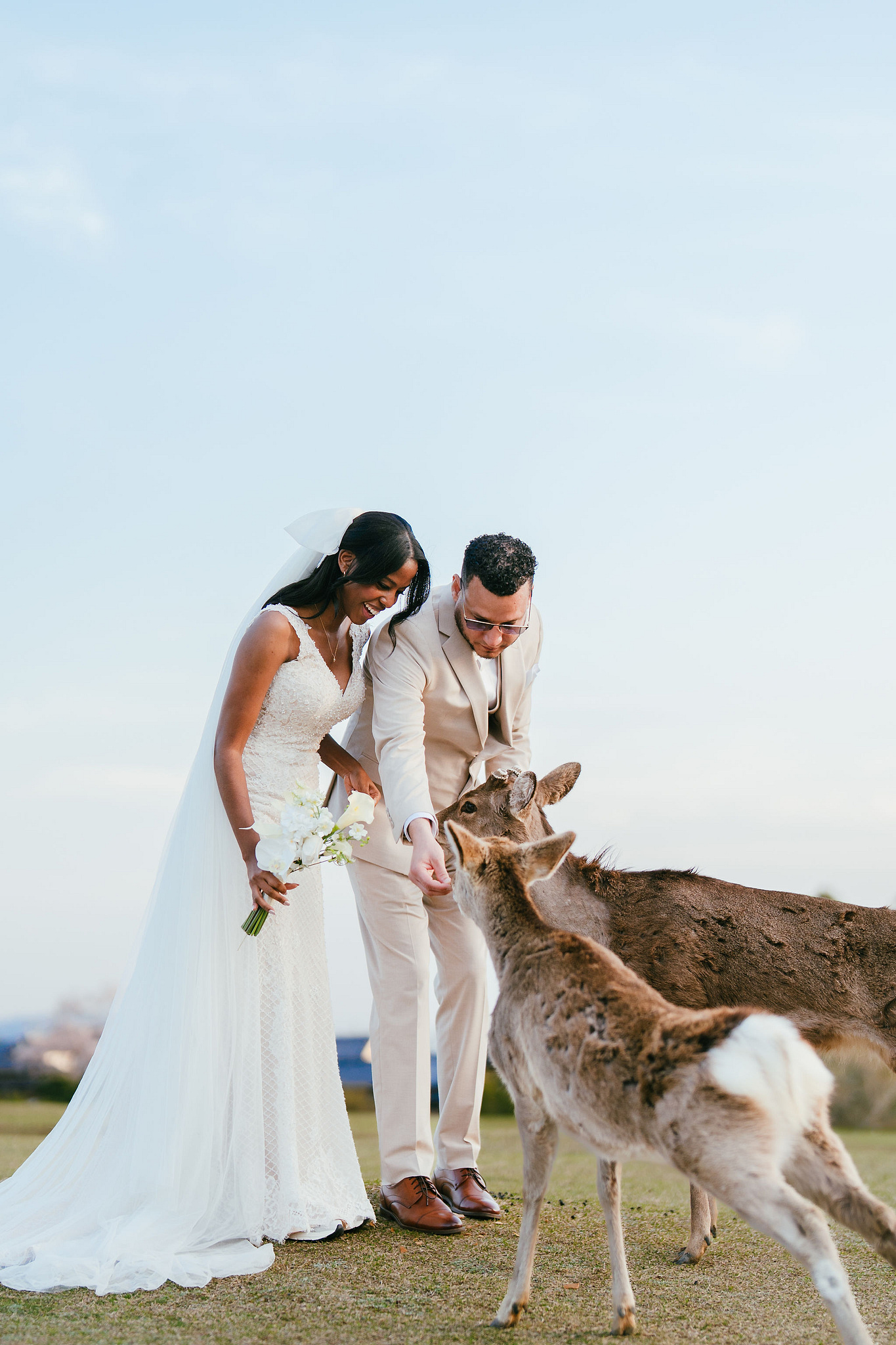 Kyoto Post-Wedding Photoshoot | Gion, Nara Deer Park & Mt. Wakakusa at Wakakusa pre-wedding photo