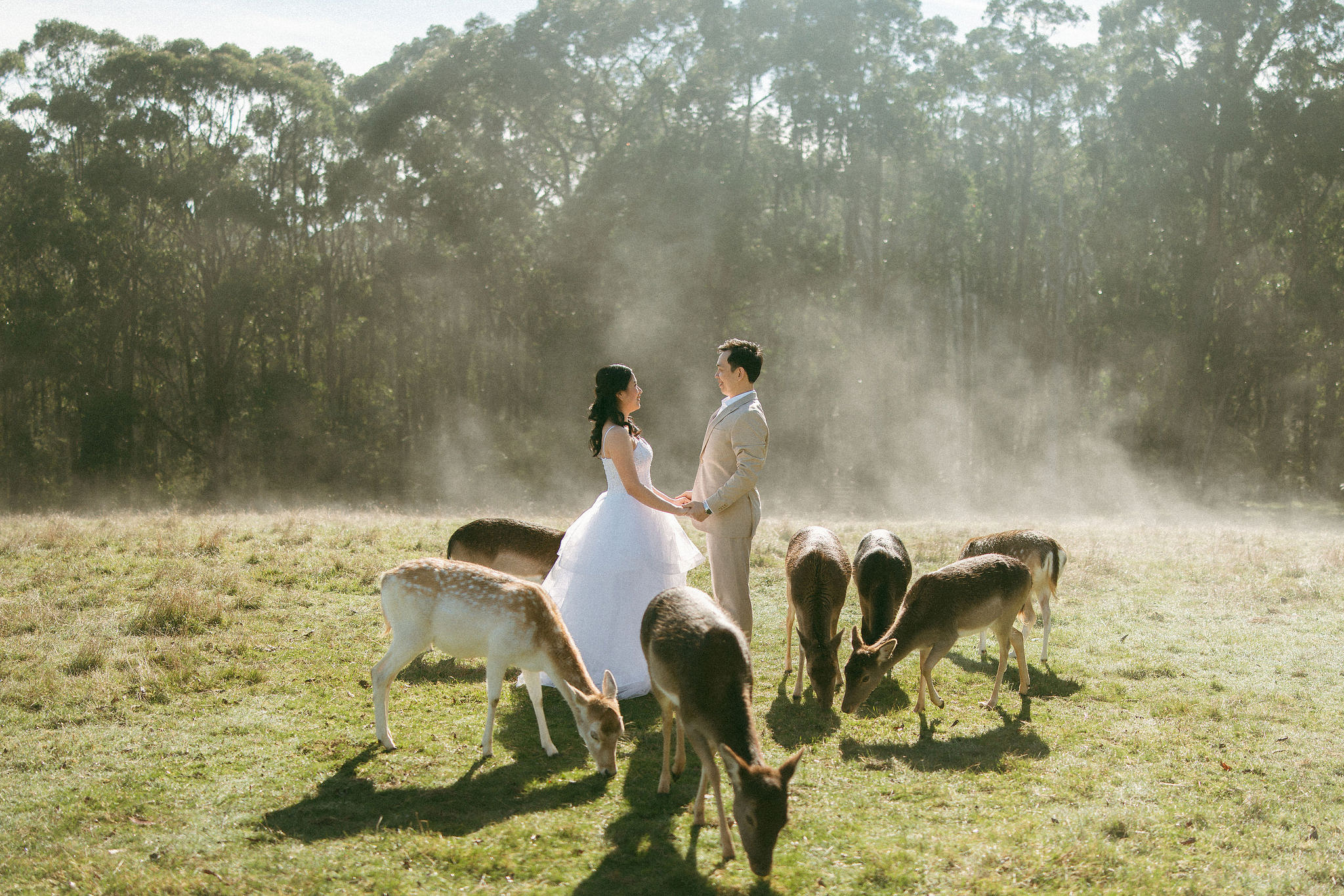 Melbourne Pre-Wedding Photoshoot | Gum Gully Farm, Studley Park & Carlton Gardens at Gum Gully Farm pre-wedding photo