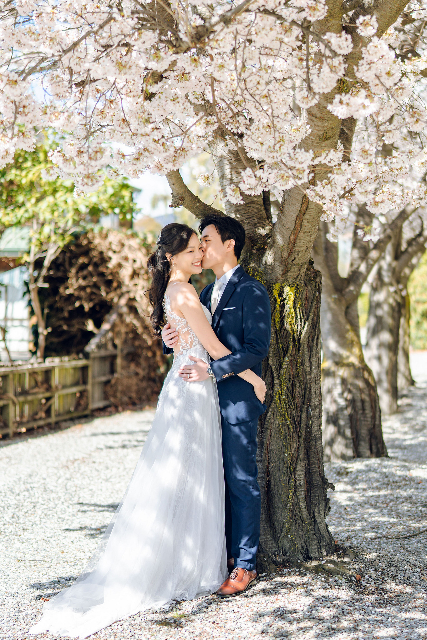New Zealand Pre-Wedding Photoshoot | Cherry Blossoms, Coromandel Peak & Lake Wakatipu at Cherry Blossoms pre-wedding photo