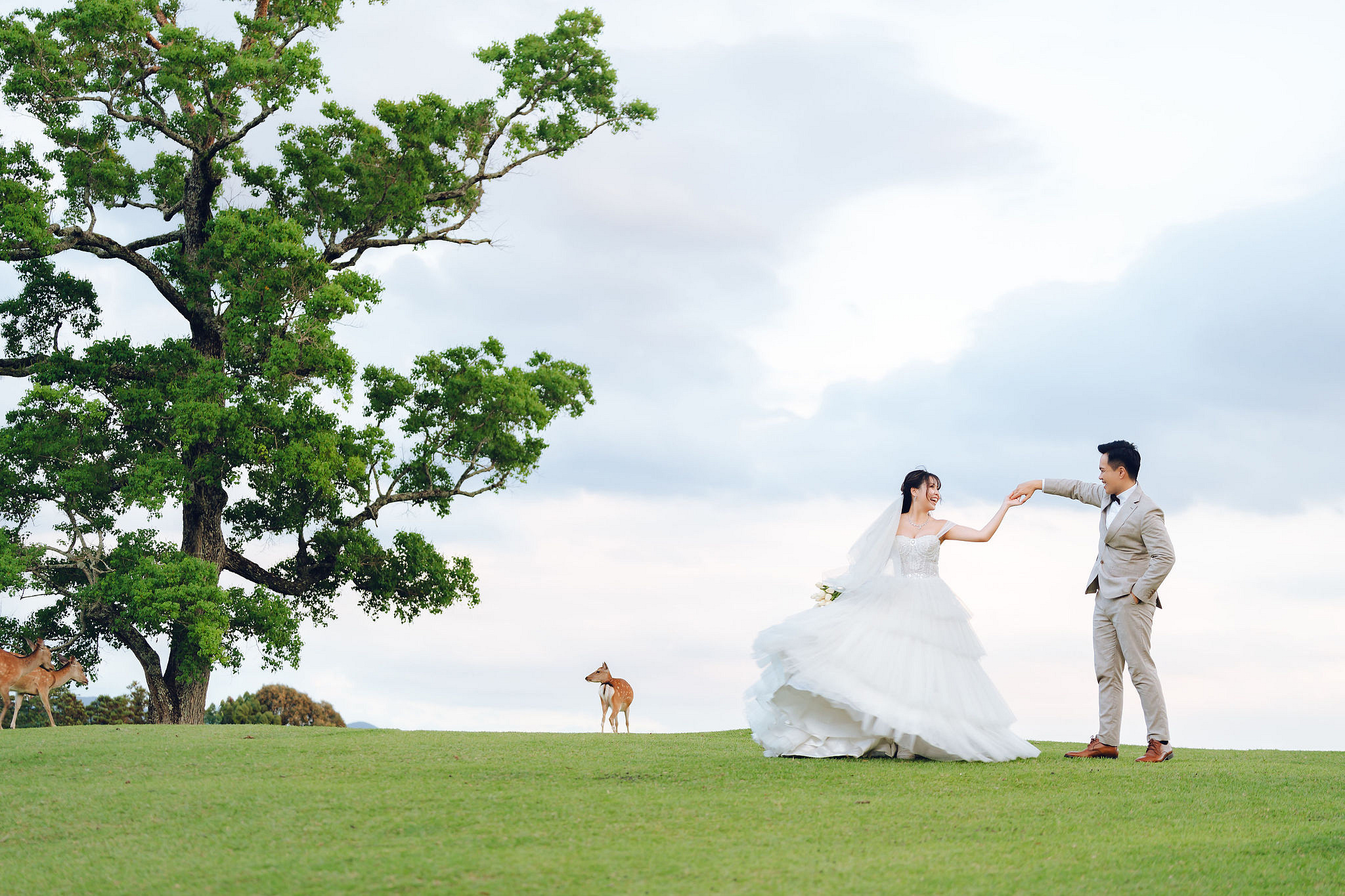 Kyoto Pre-Wedding Photoshoot | Gion Streets, Higashiyama & Nara Park at Nara Park Lawns pre-wedding photo