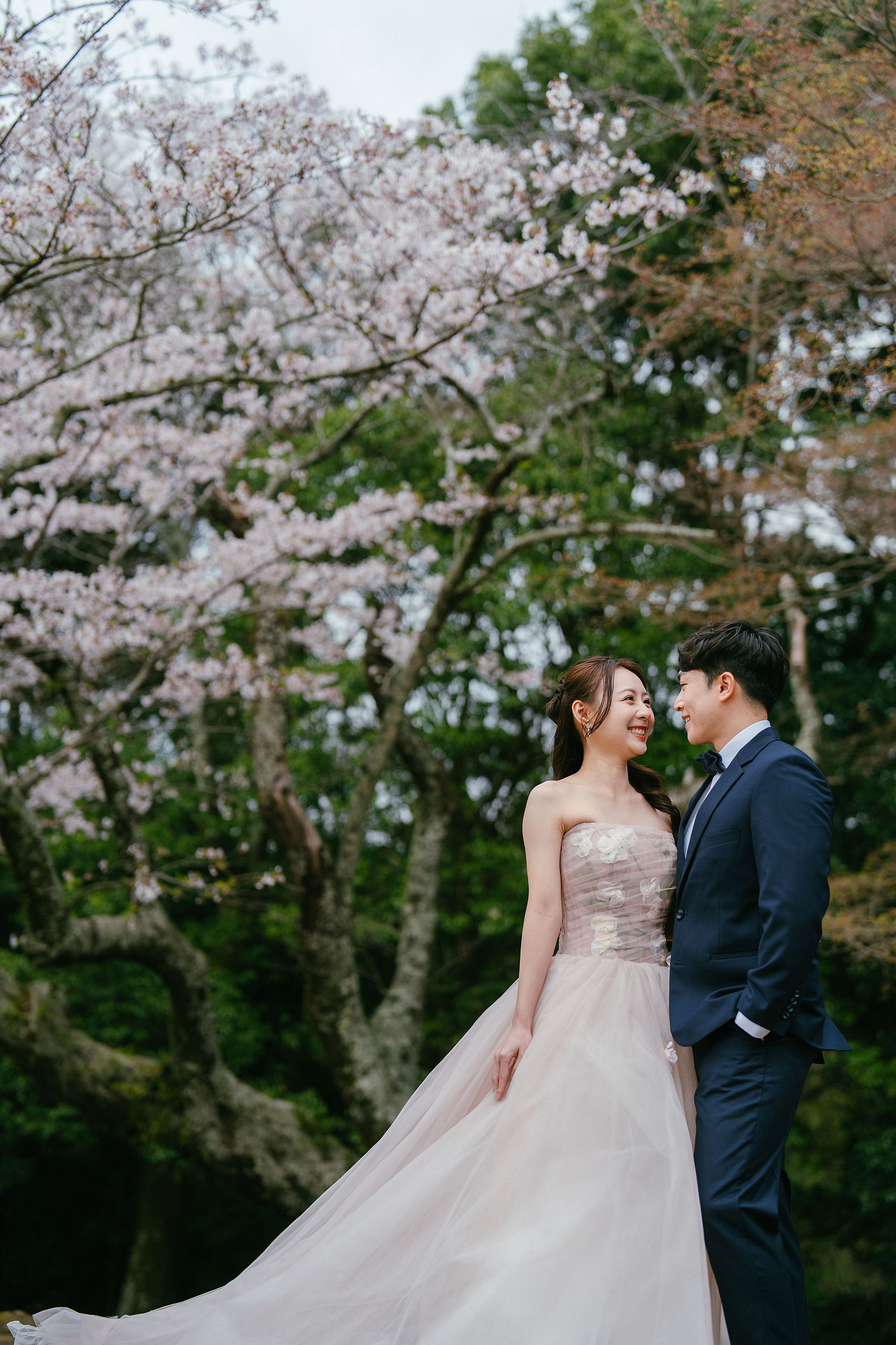 Kyoto Pre-Wedding Photoshoot | Fushimi Inari, Nara Deer Park & Mt. Wakakusa at Mt. Wakakusa pre-wedding photo