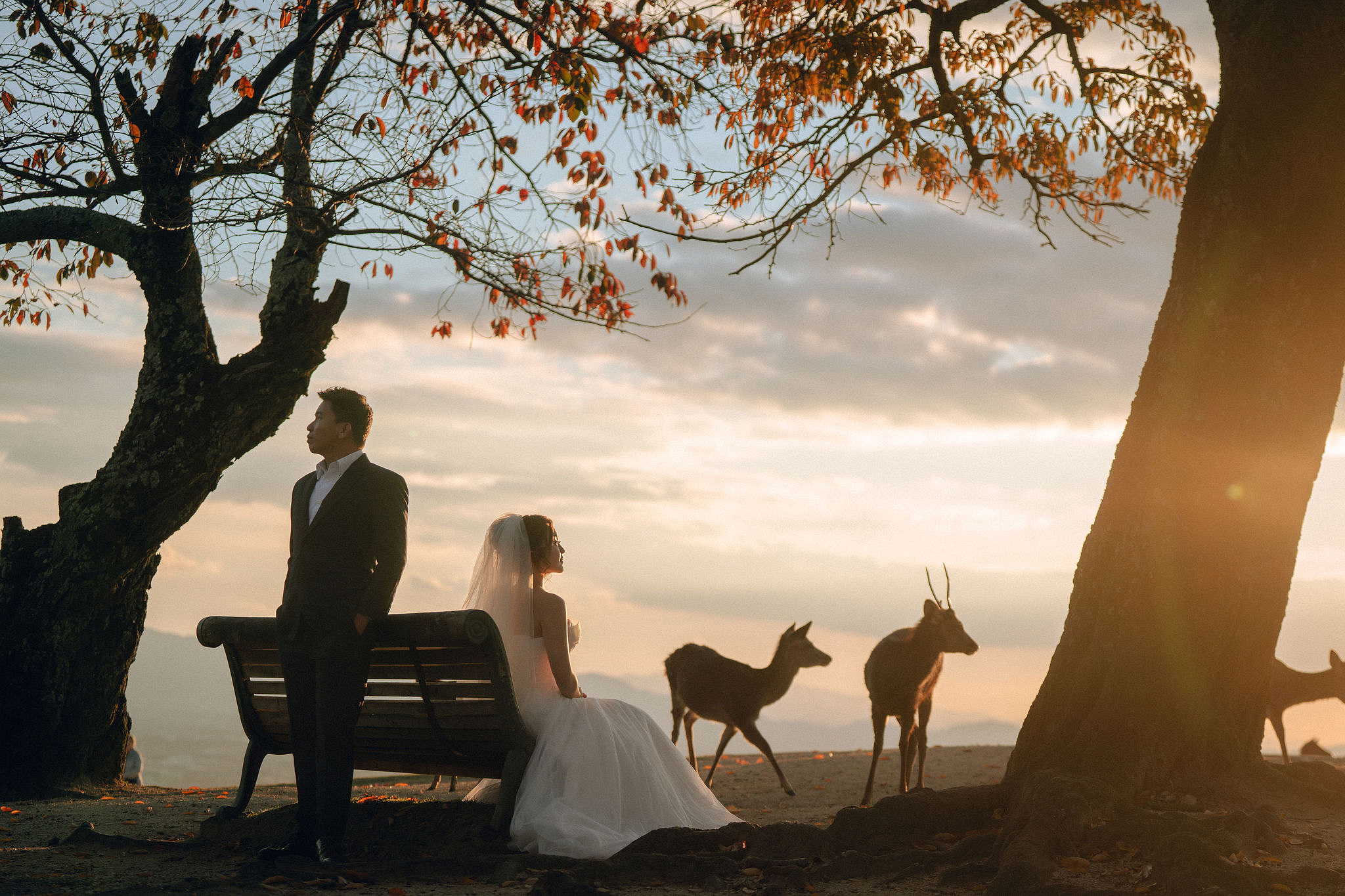 Kyoto Pre-Wedding Photoshoot | Arashiyama River, Arashiyama Temple & Mt. Wakakusa at Mt. Wakakusa pre-wedding photo