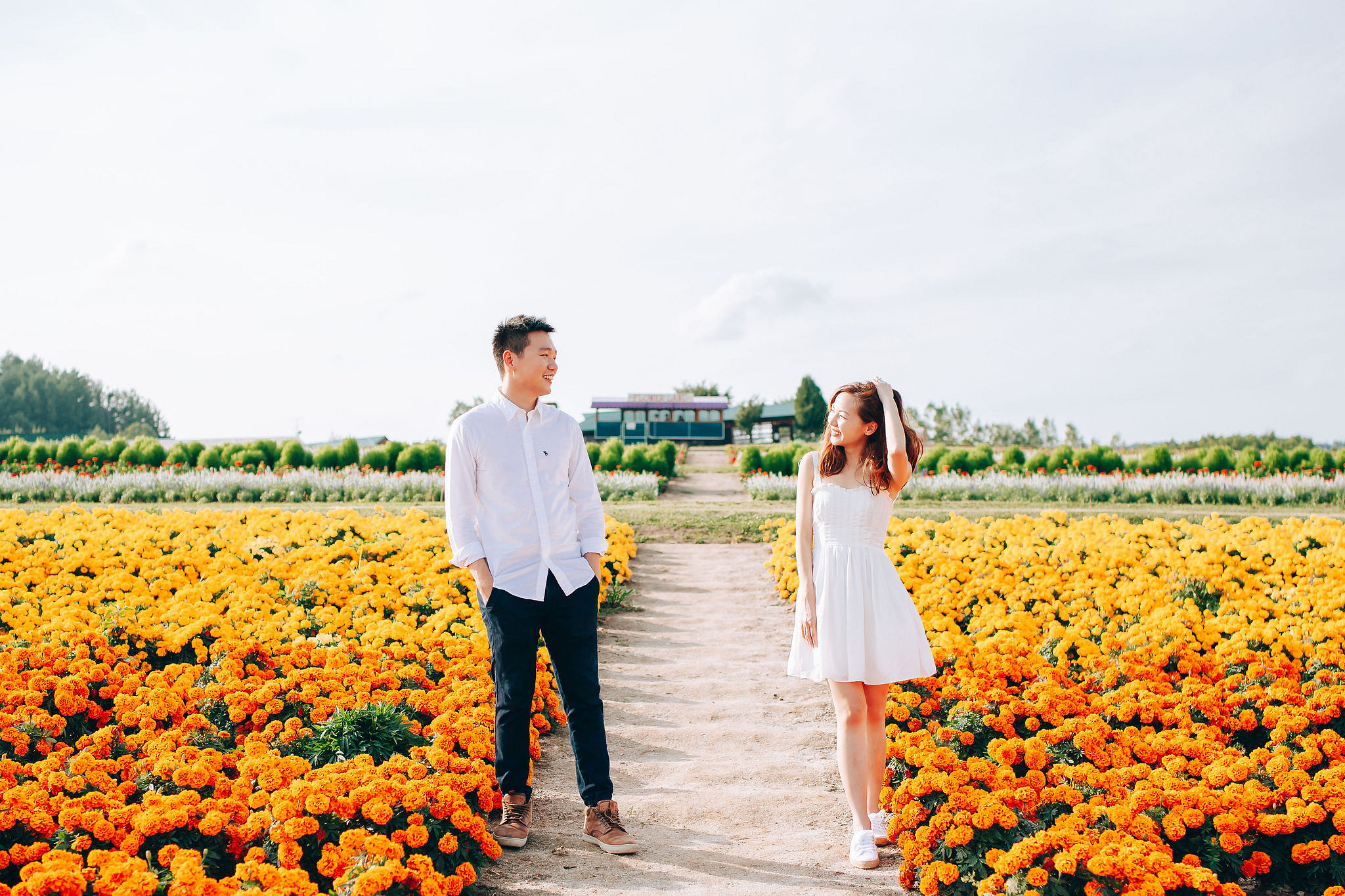 Hokkaido Summer Rainbow Flowers and Railway Track Japan Prewedding Photoshoot at Furano pre-wedding photo