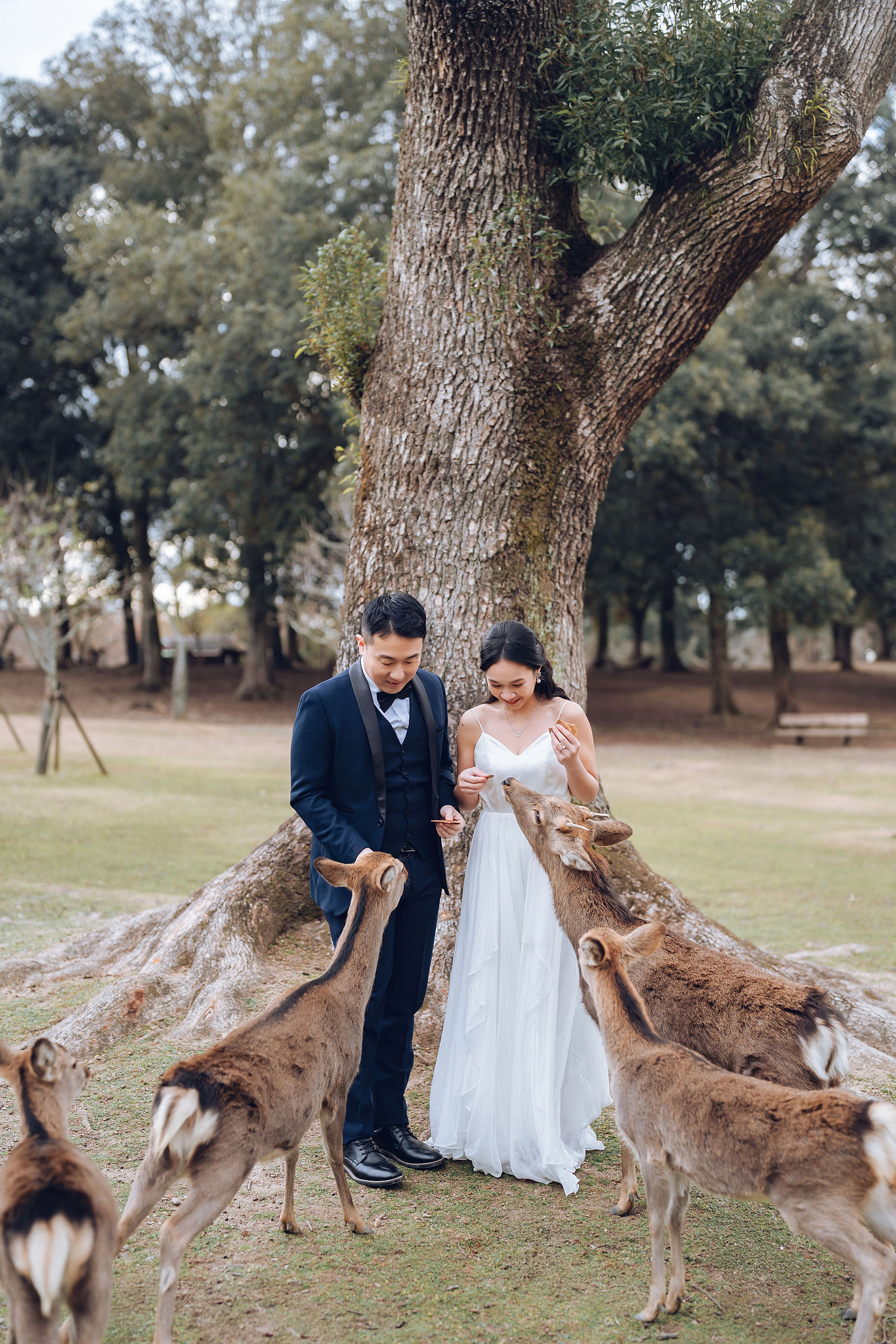 Kyoto Pre-Wedding Photoshoot | Historic Pagoda Streets & Nara Grasslands at Historic Kyoto Streets & Pagoda pre-wedding photo