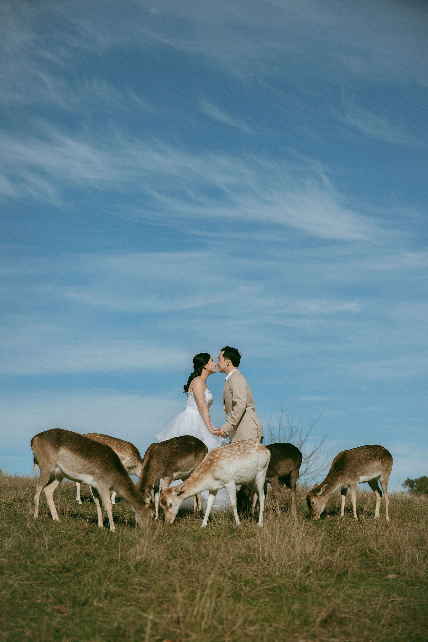 Melbourne Pre-Wedding Photoshoot | Gum Gully Farm, Studley Park & Carlton Gardens at Gum Gully Farm pre-wedding photo